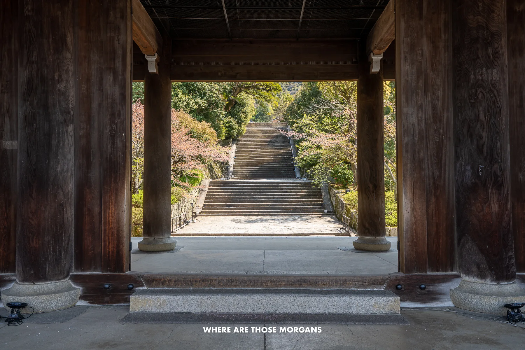 Huge wooden beams leading to a stone staircase and trees