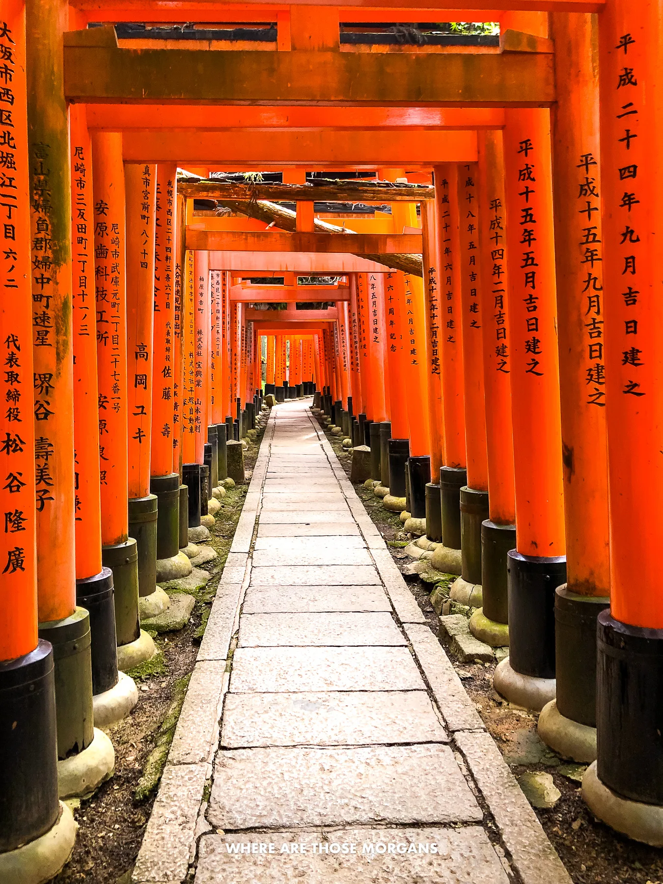 Vermilion red torii gates in Kyoto forming a tunnel