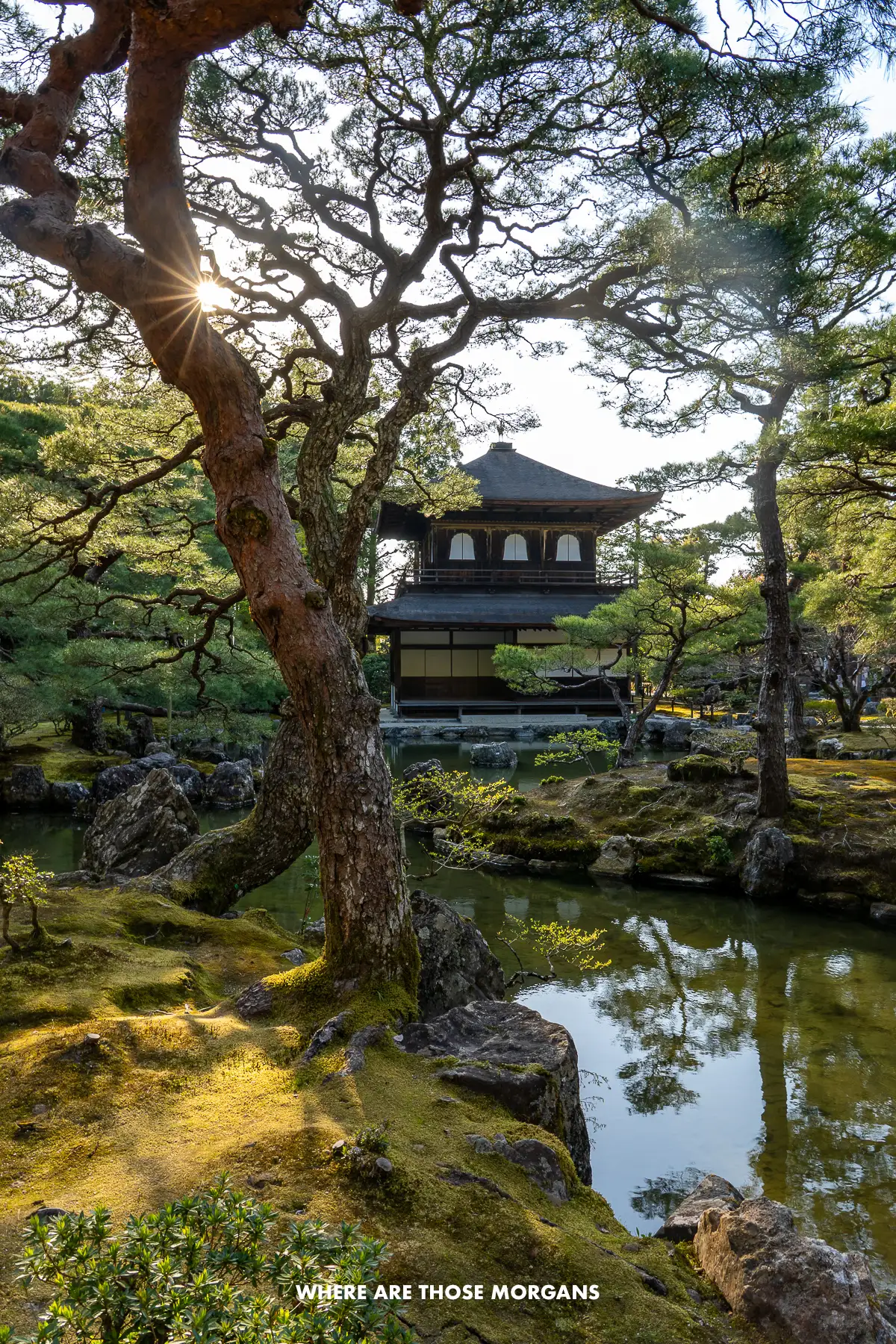 Wooden pavilion behind a pond, moss and trees in Japan