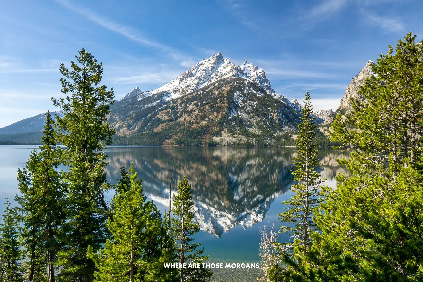 Teewinot Mountain reflecting in Jenny Lake through evergreen trees