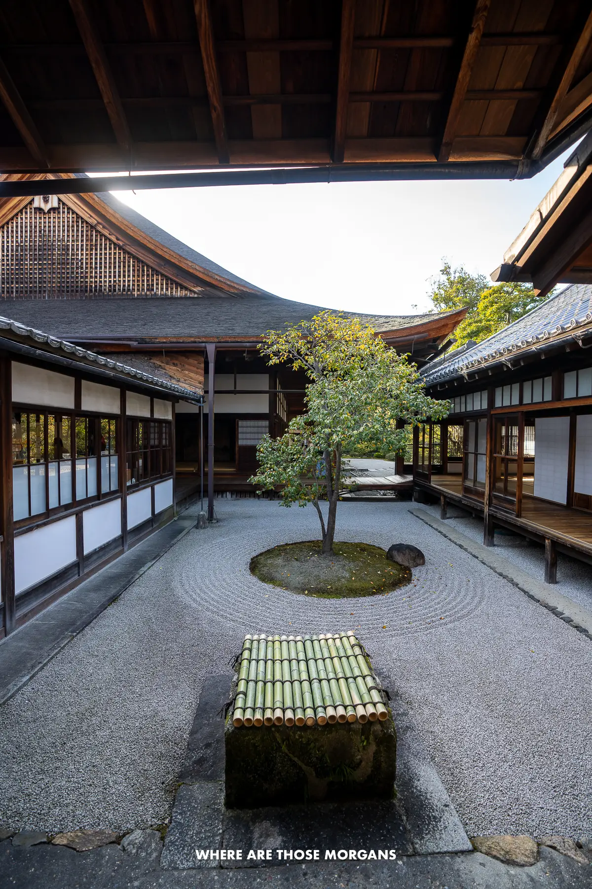 Small zen courtyard with a lone tree and bamboo seat within Kennin-ji Temple in Kyoto