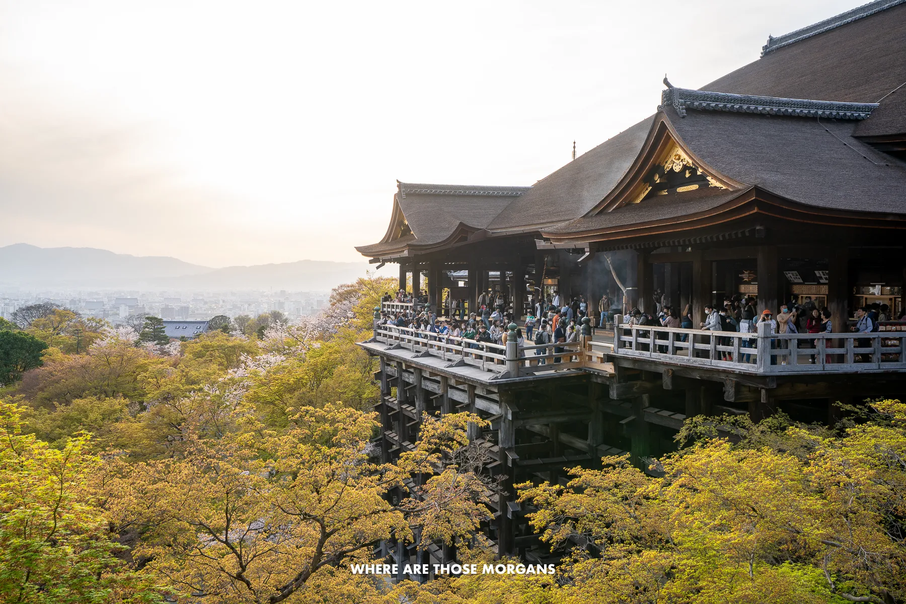 Hillside wooden Buddhist temple with trees below and views over Kyoto at sunset