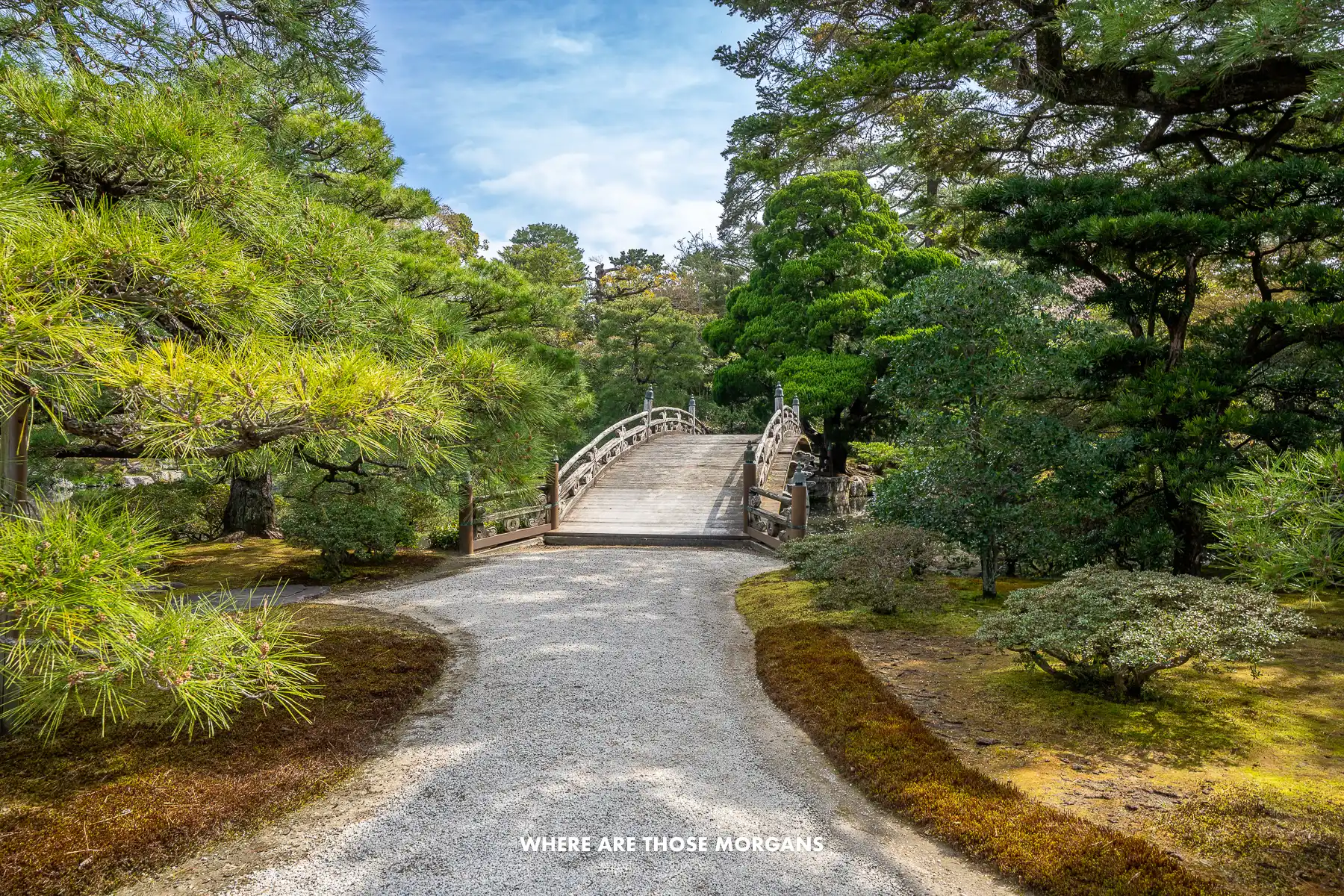 Gardens with small bridge surrounded by trees in Japan