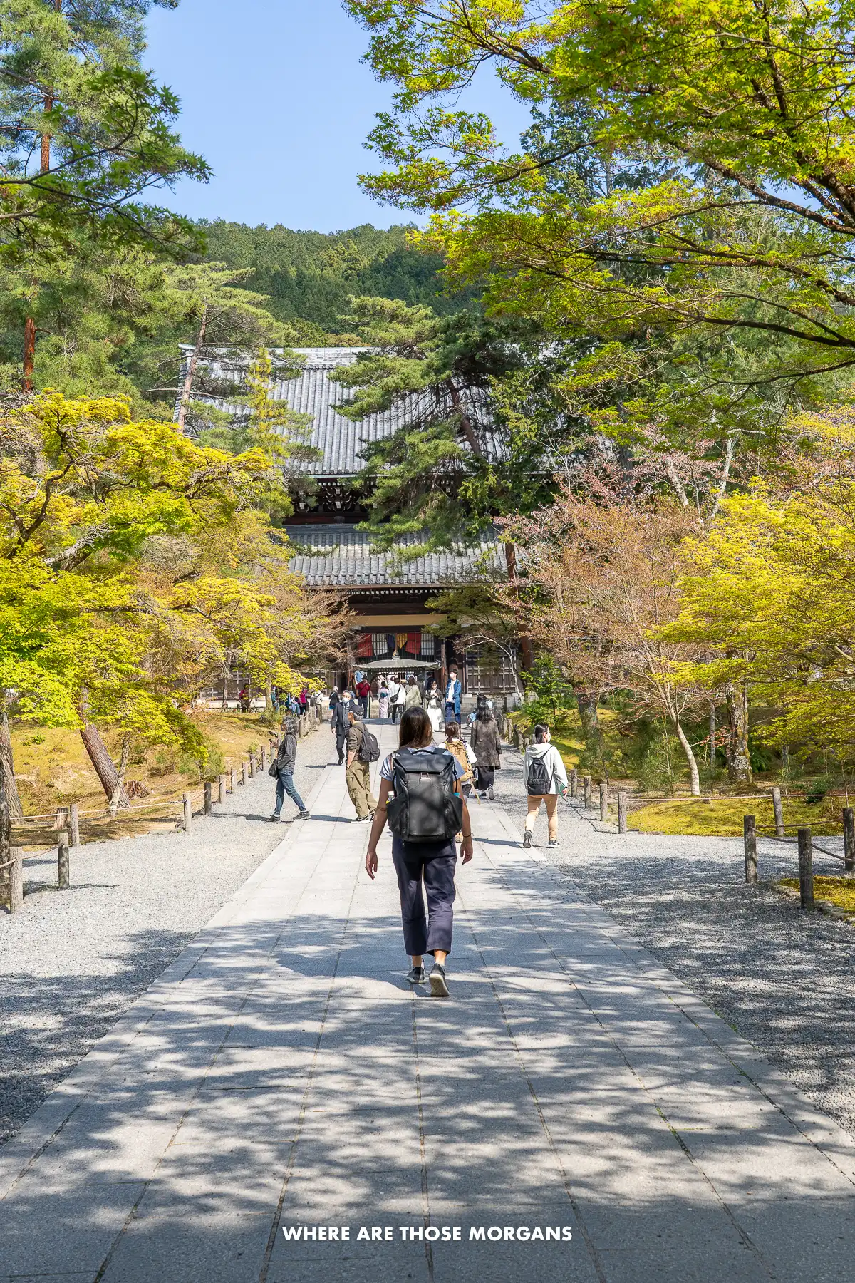 Tourists walking along a path through trees to a massive wooden building in Japan