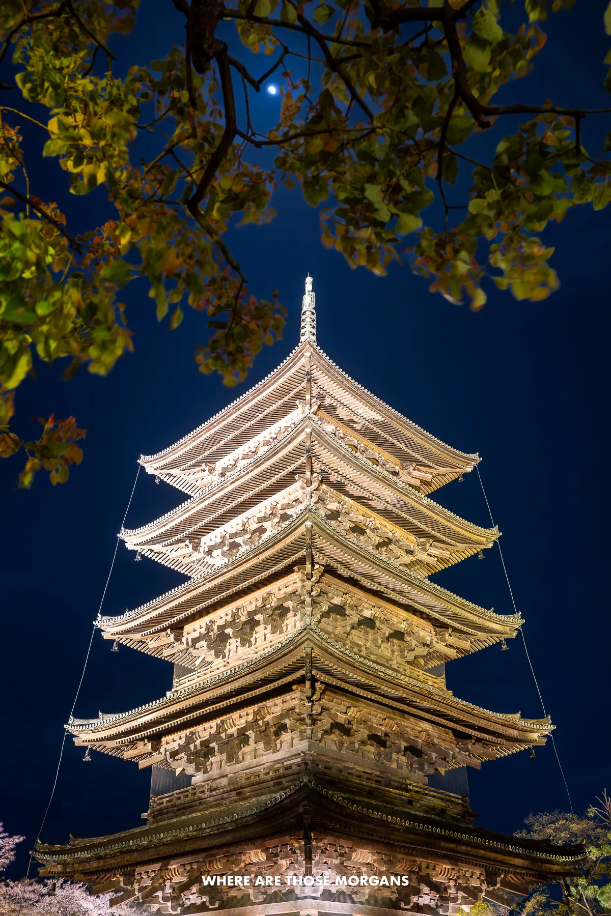 Close up photo of a five-story pagoda in Kyoto lit up at night with tree branches and the Moon