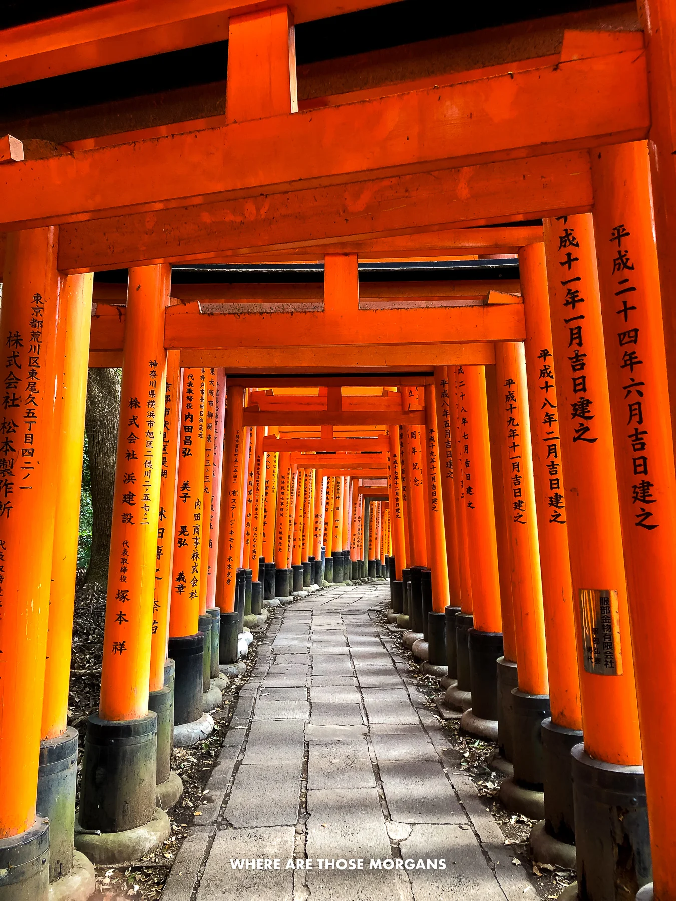 Tunnel of red torii gates in Japan with sun streaming through