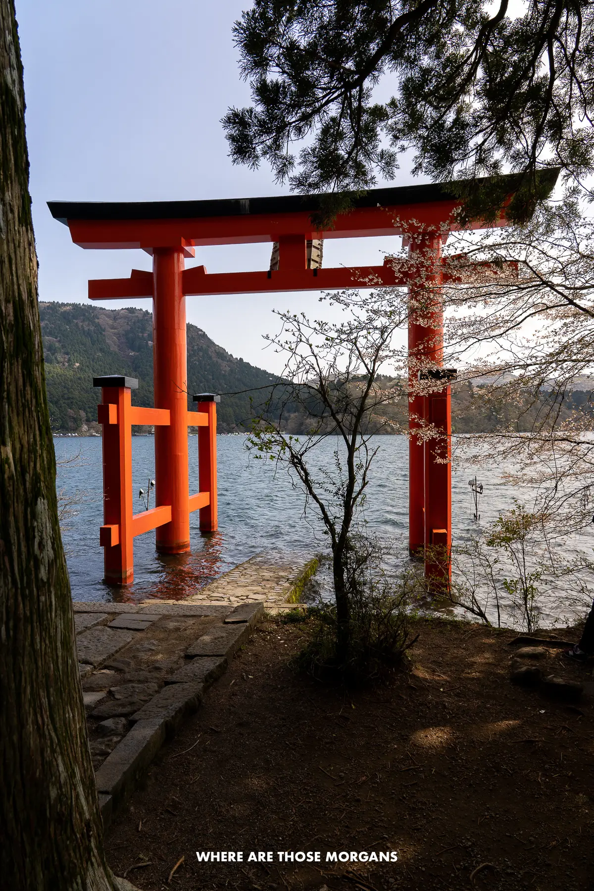 Red torii gate in shallow water in Lake Ashi with trees around close to sunset