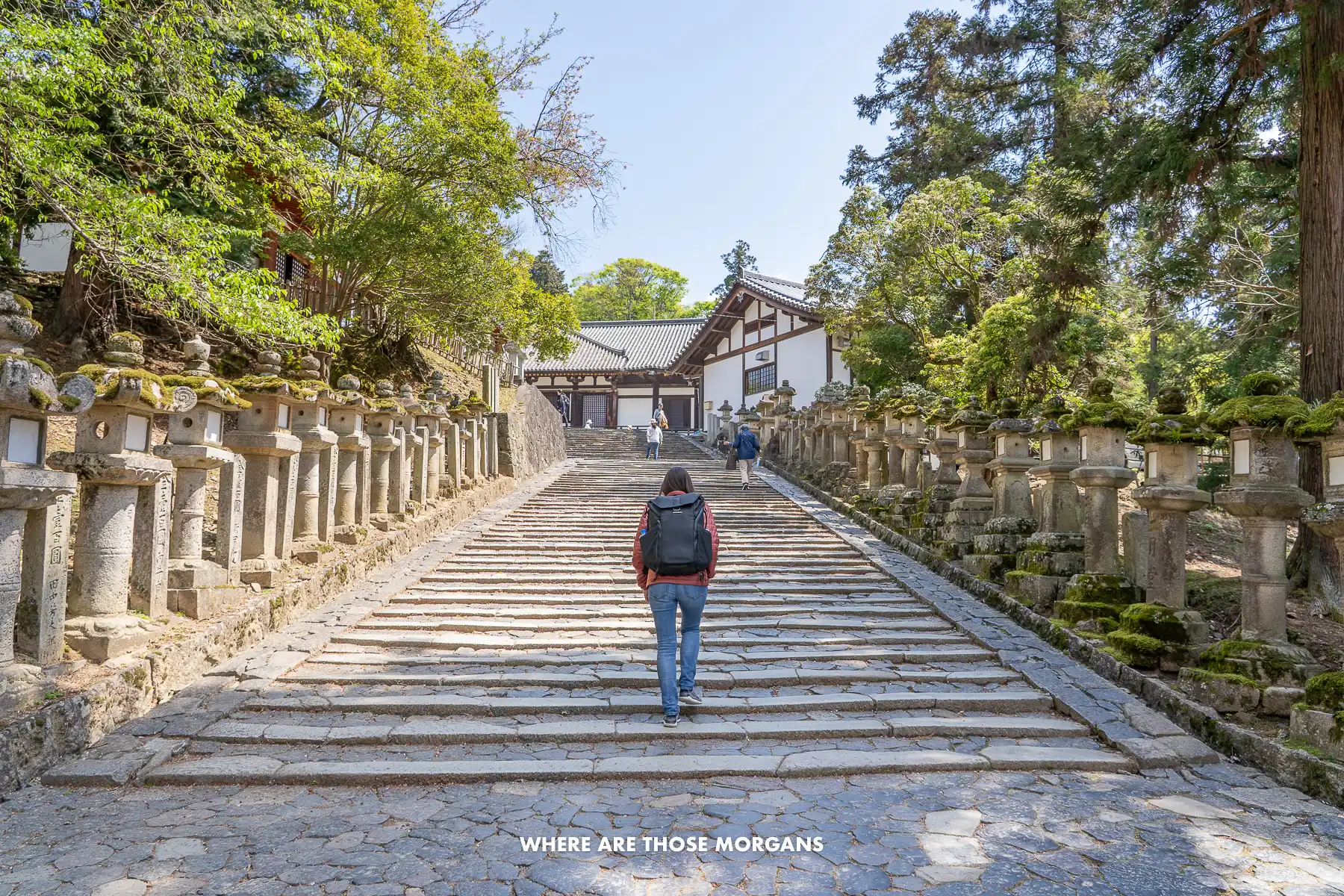 Kristen from Where Are Those Morgans walking up a long and wide stone staircase to temples in Japan