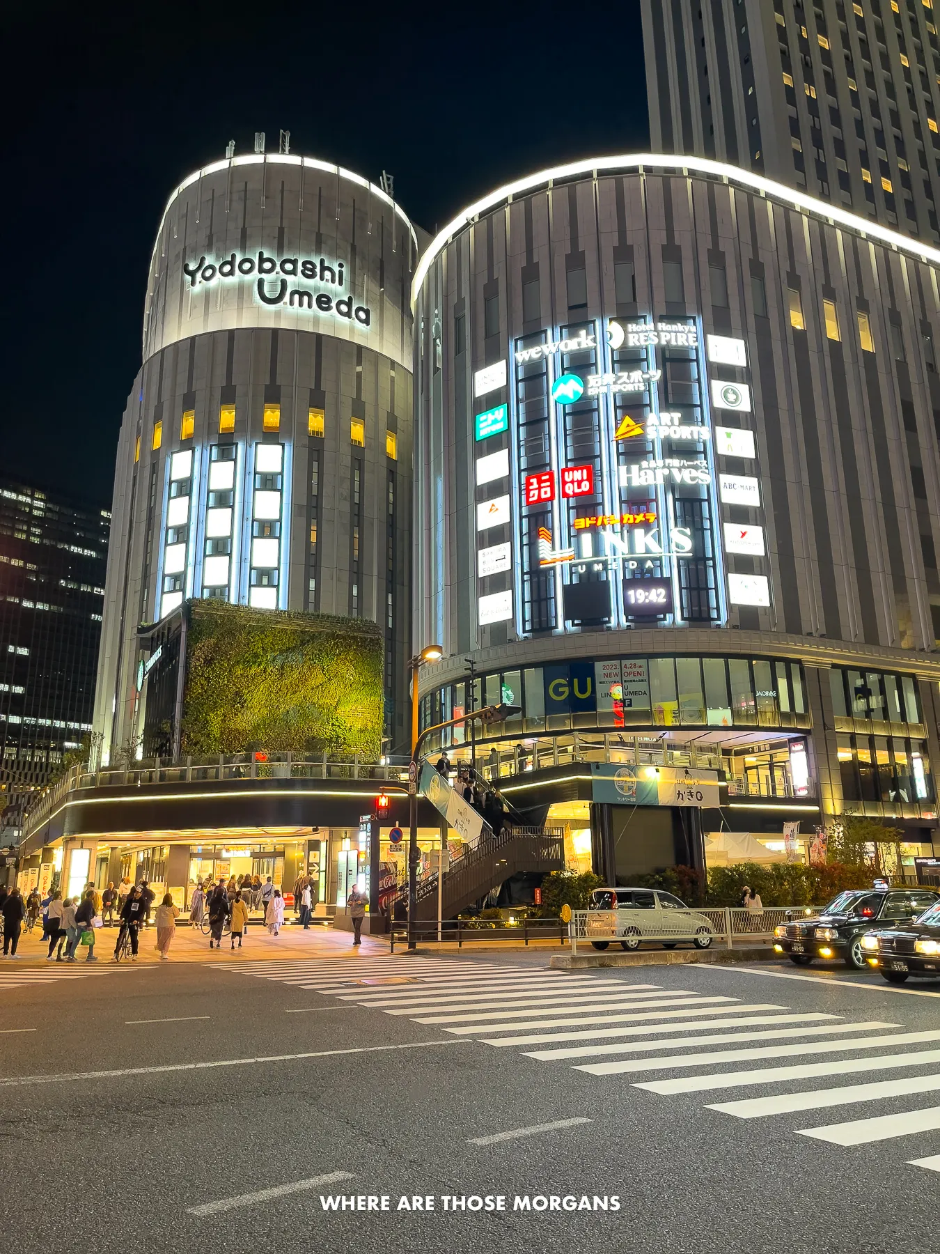 Road and pedestrian crossing leading to tall rounded buildings with neon lights at night in Japan