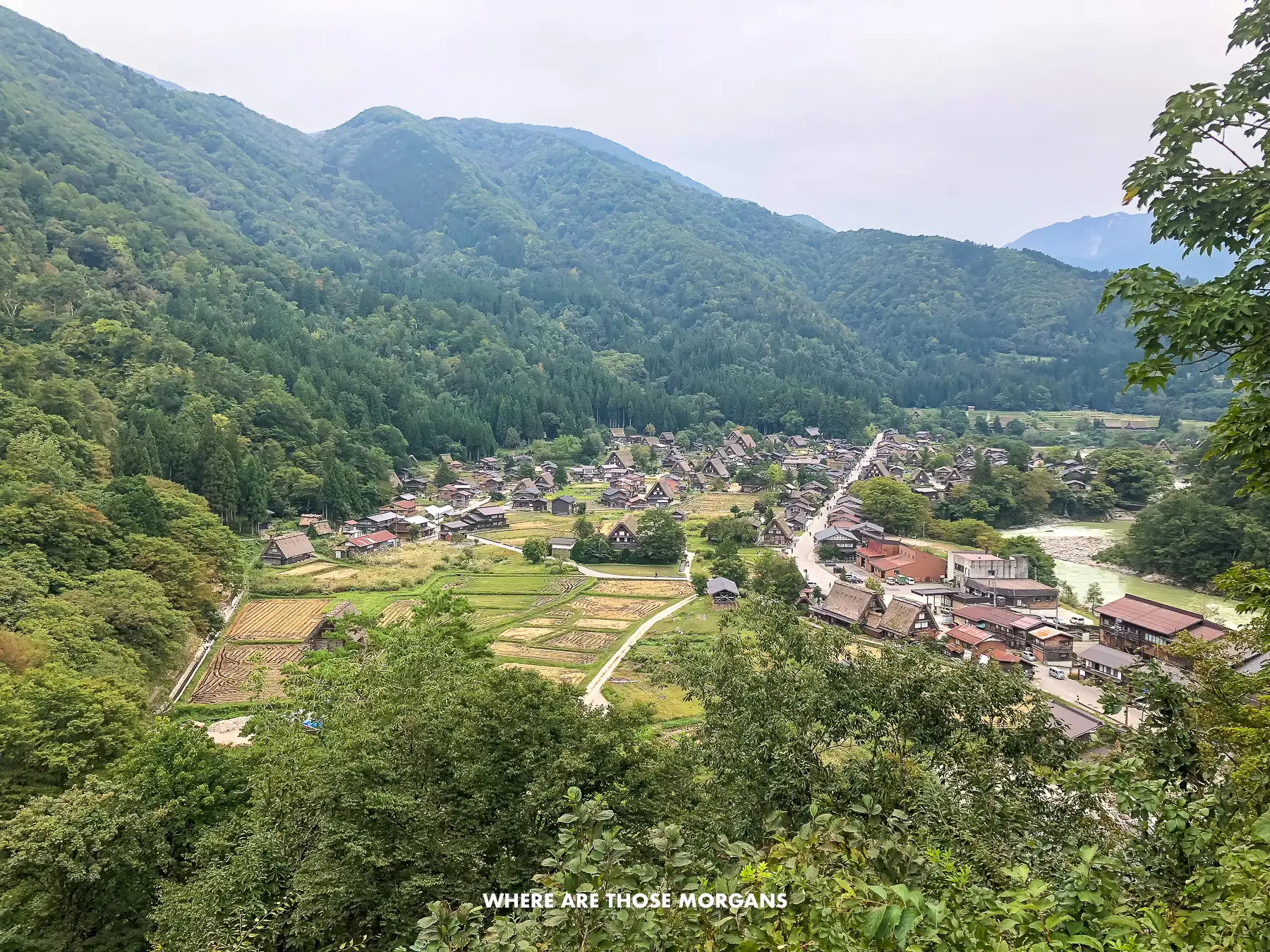 Elevated viewpoint overlooking Shirakawago UNESCO village in the Japanese Alps