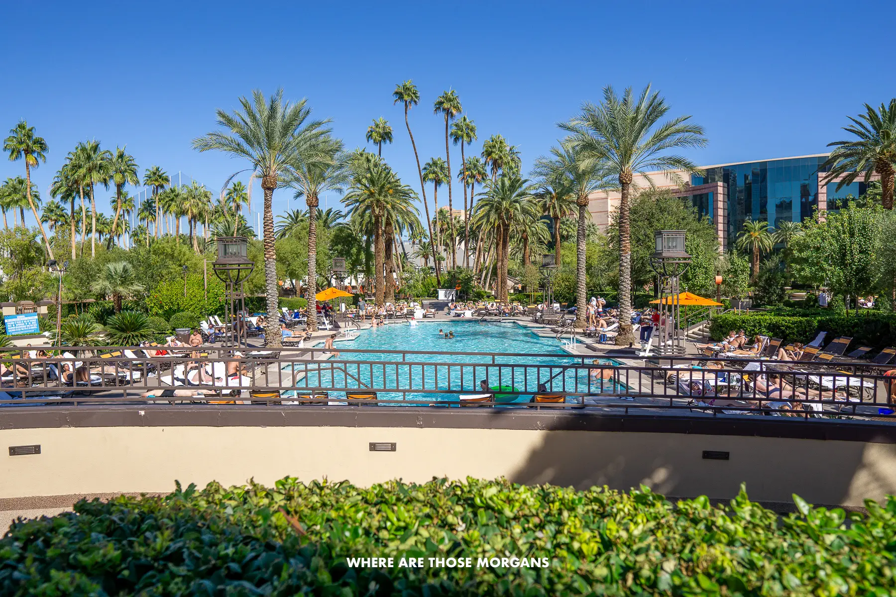 Swimming pool at MGM Grand with people sunbathing behind a wall and bushes