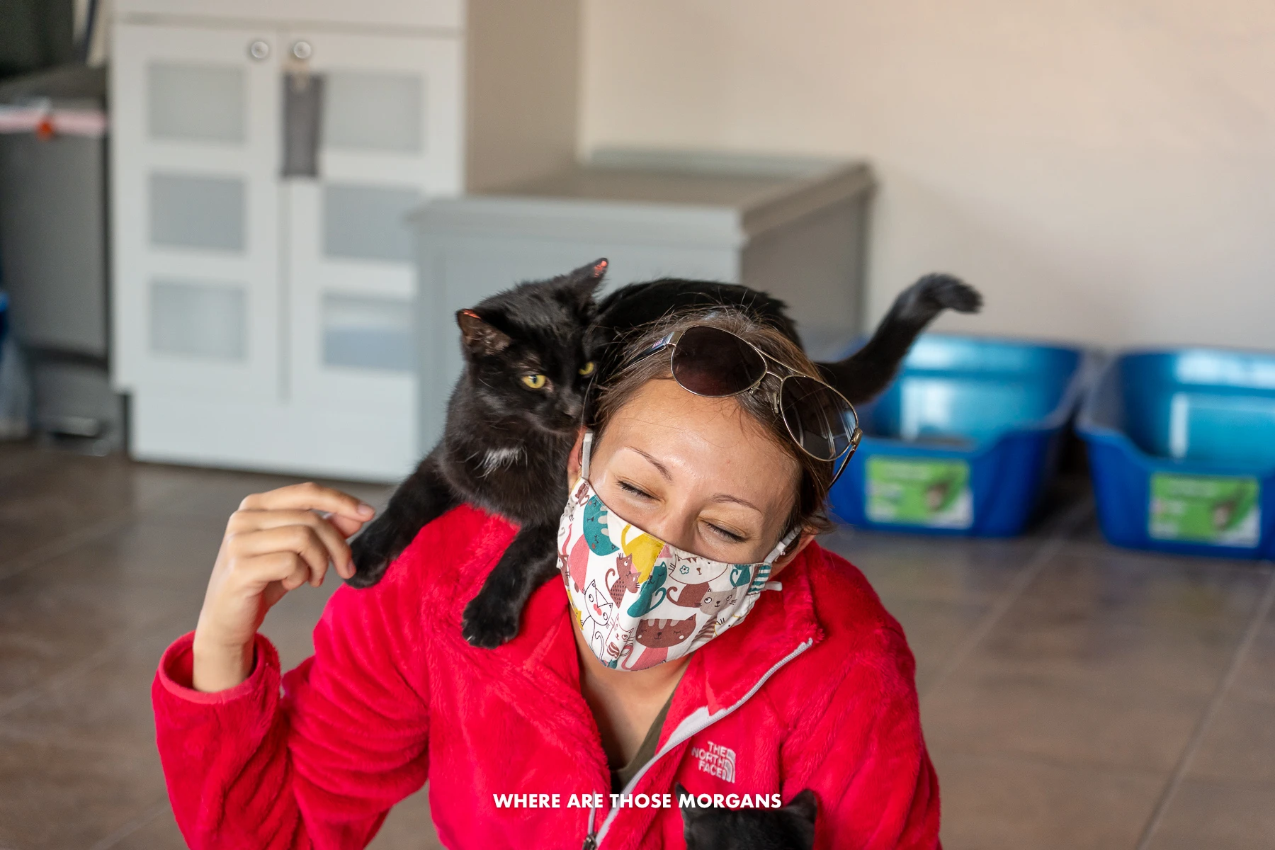 Kristen from Where Are Those Morgans in a room at an animal sanctuary with a black cat climbing on her neck