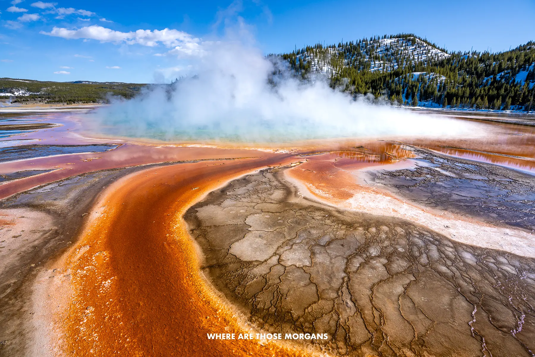 Vibrant swirling colors and steam lightly billowing from Grand Prismatic Spring in Yellowstone National Park