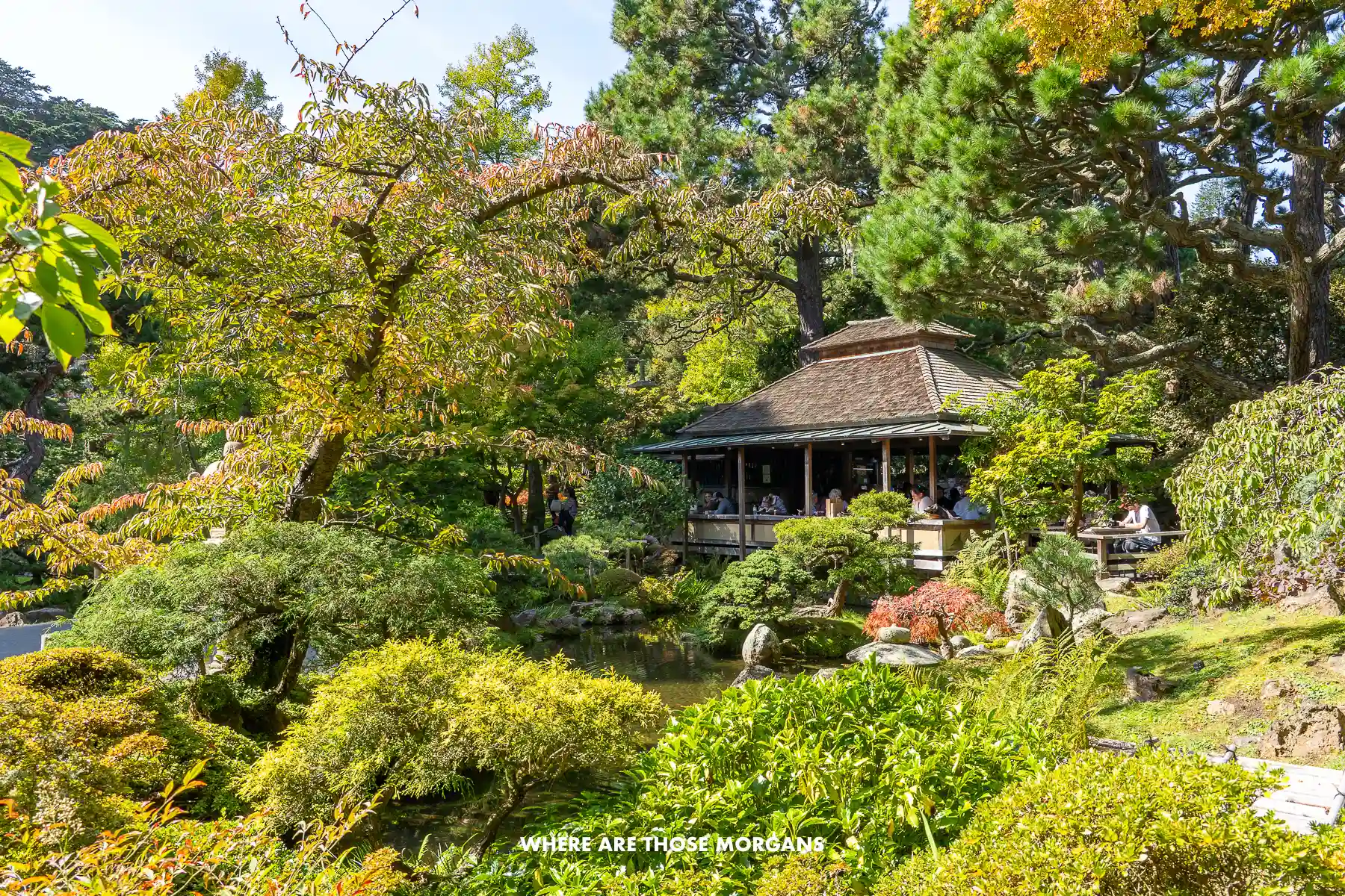 Lots of green vegetation and a small wooden building inside a Japanese garden in San Francisco