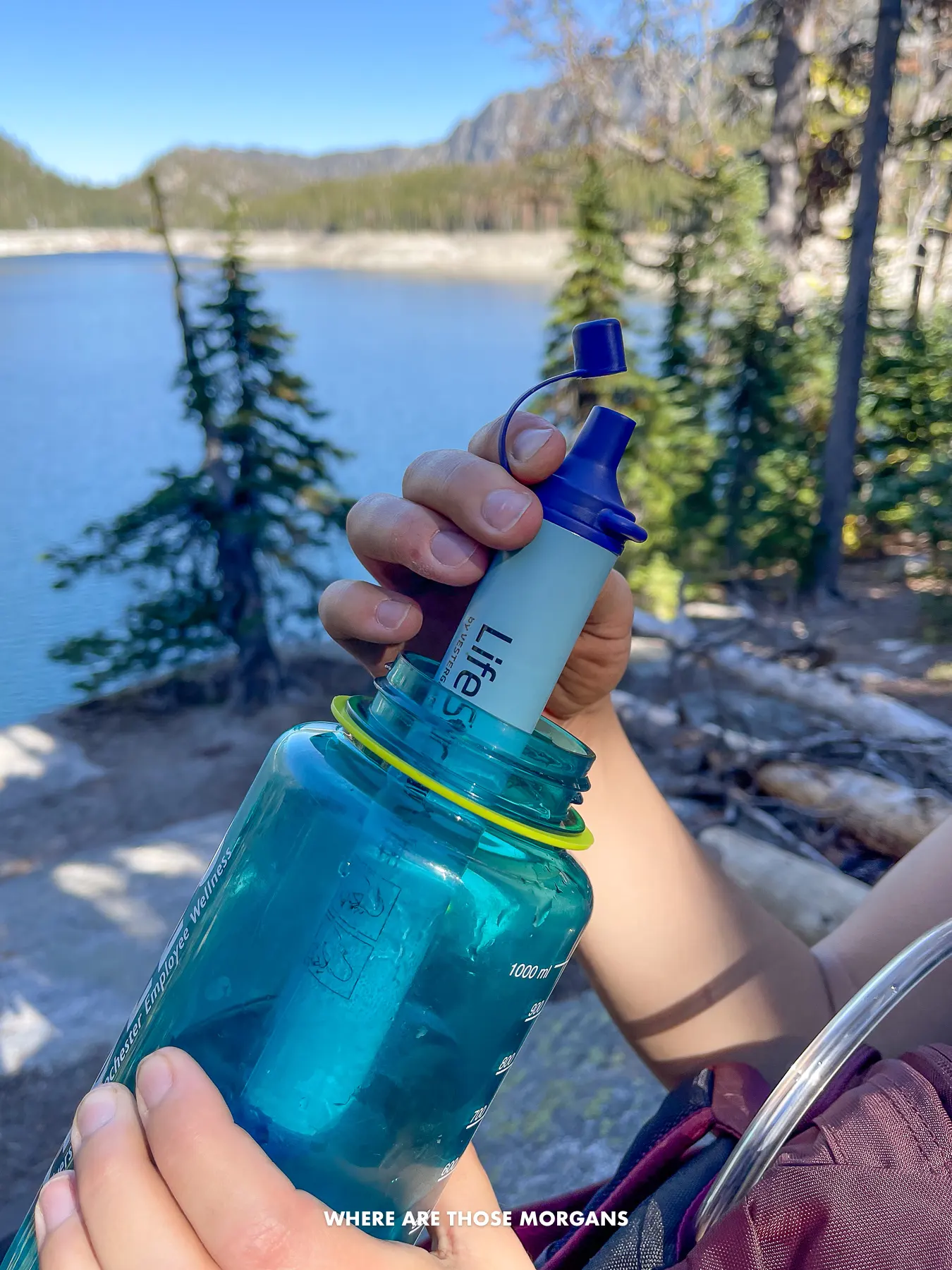Hands holding a Life Straw inside a water bottle near a lake