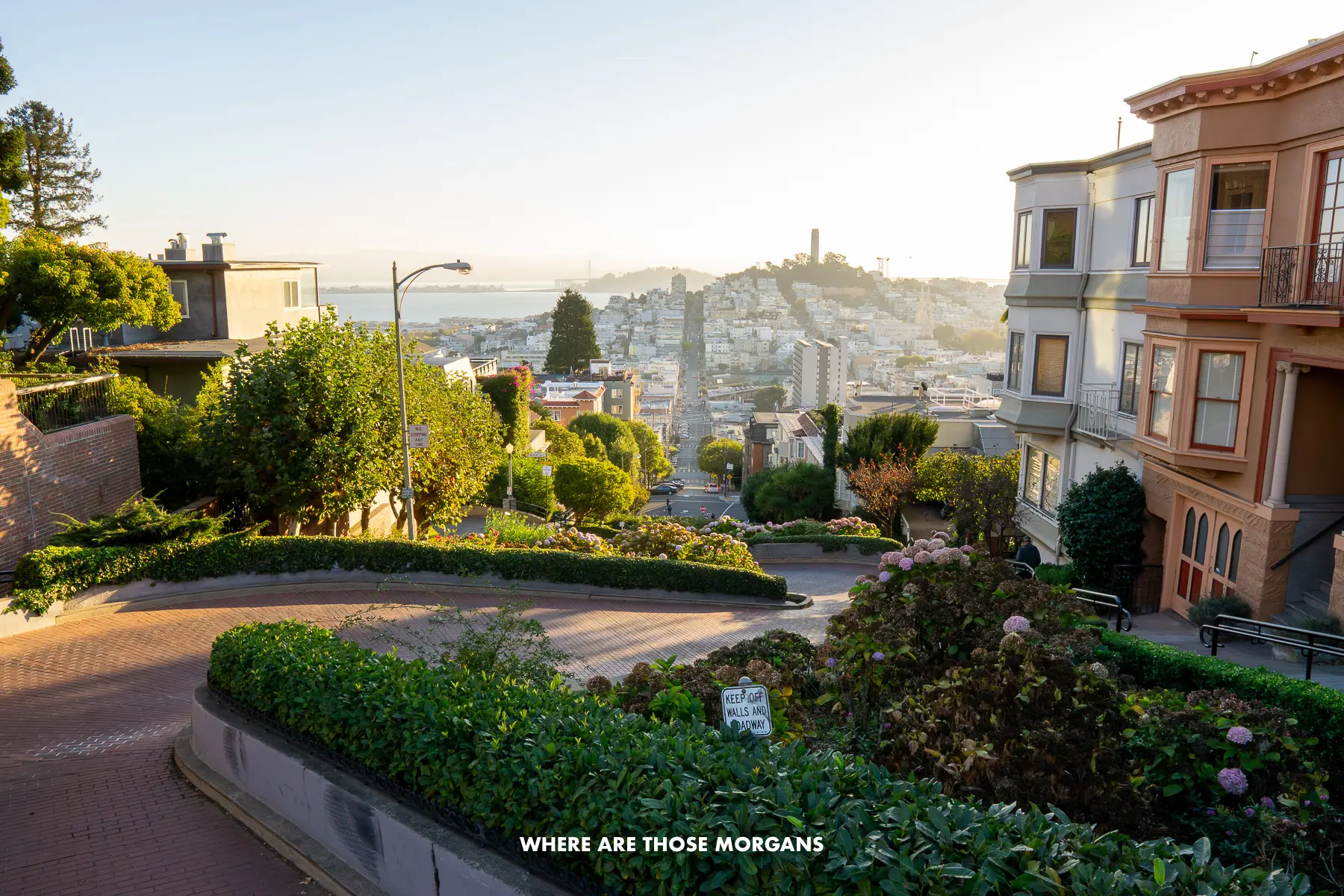Curving street with S-bends flanked by houses and leading to the touristy area of San Francisco at sunrise