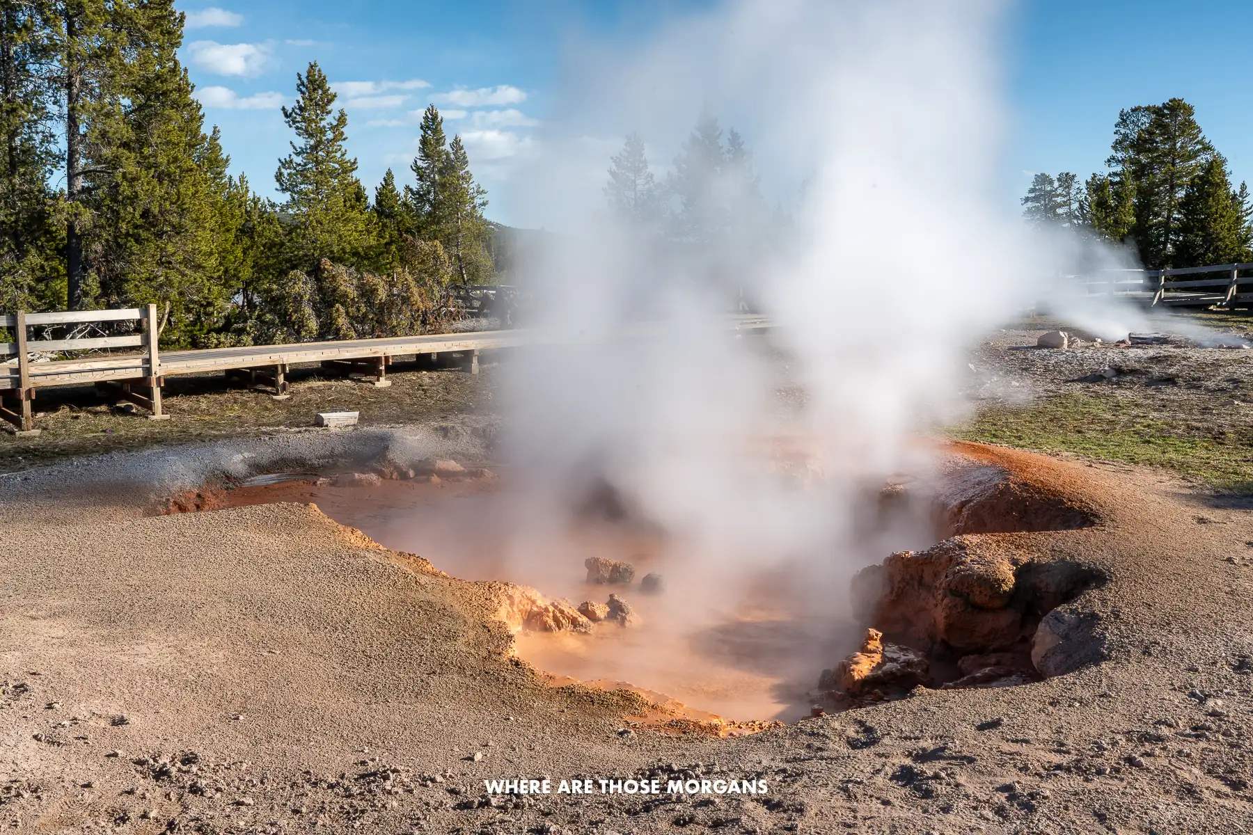 Steam billowing out of an orange colored geyser in Yellowstone's lower basin
