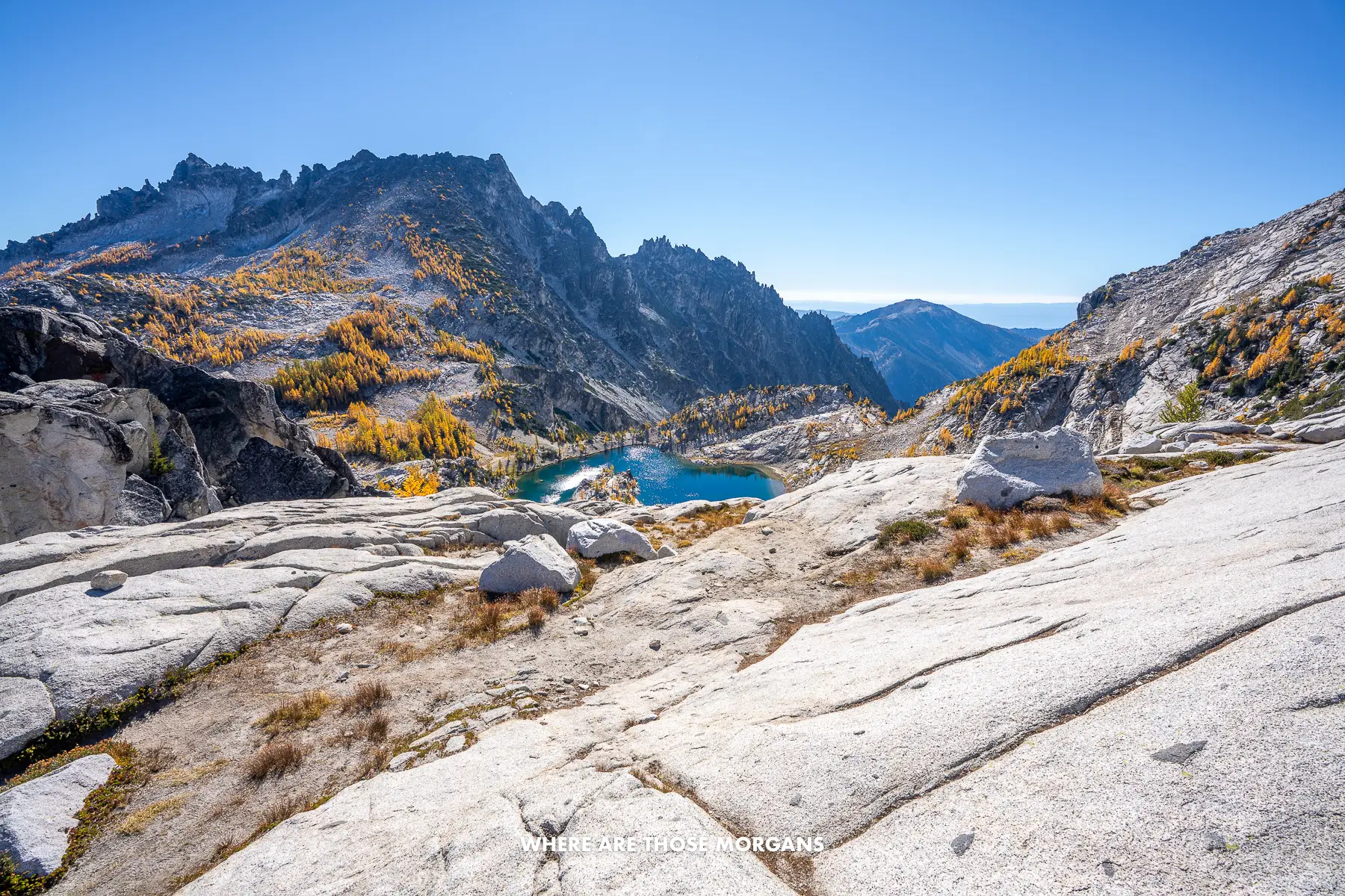 Small blue lake and golden larch trees in a granite rock landscape under a blue sky at The Core Enchantments in Washington