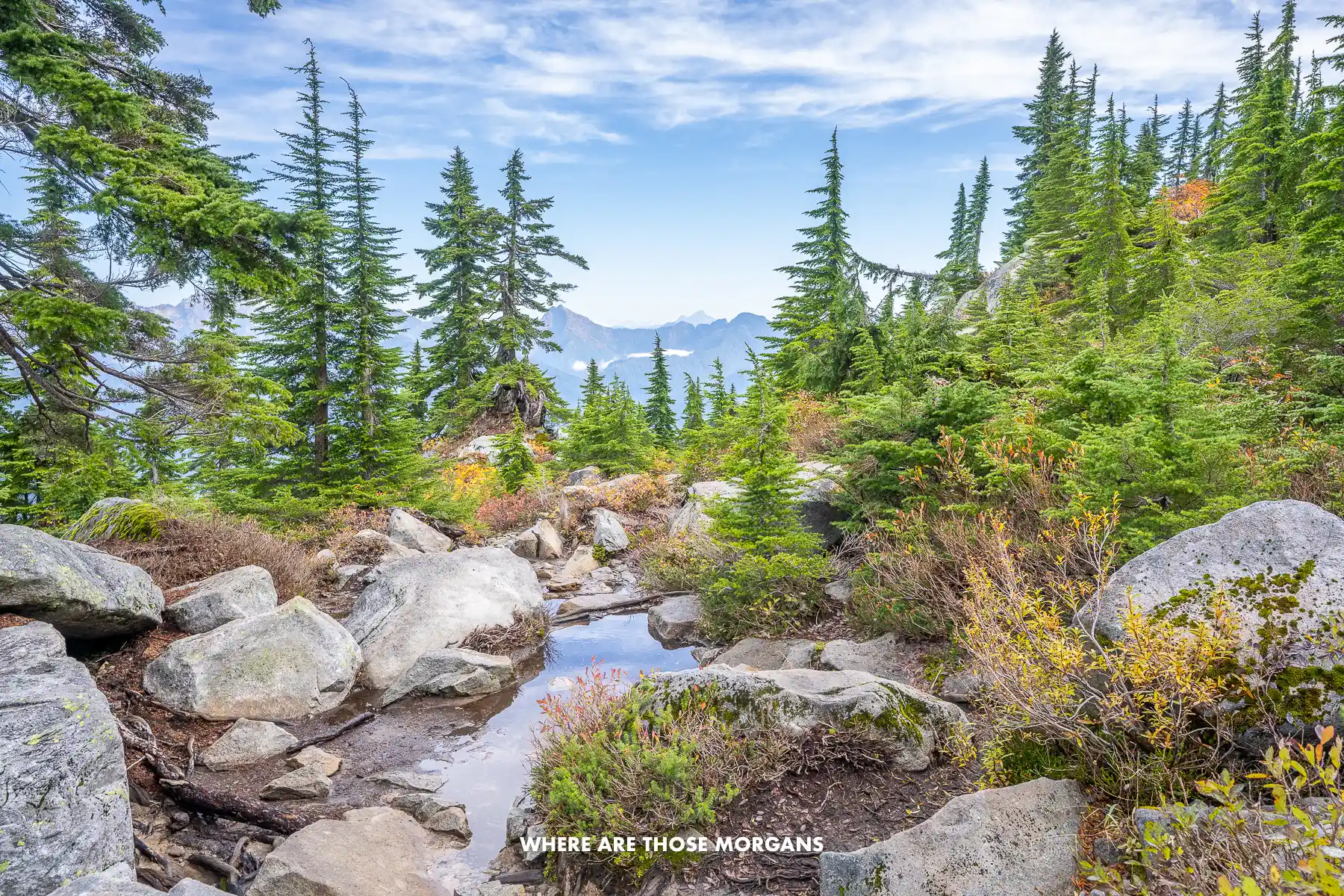 Scenic hiking trail in Washington's Cascade Mountains with small rocks, trees and views of distant mountains