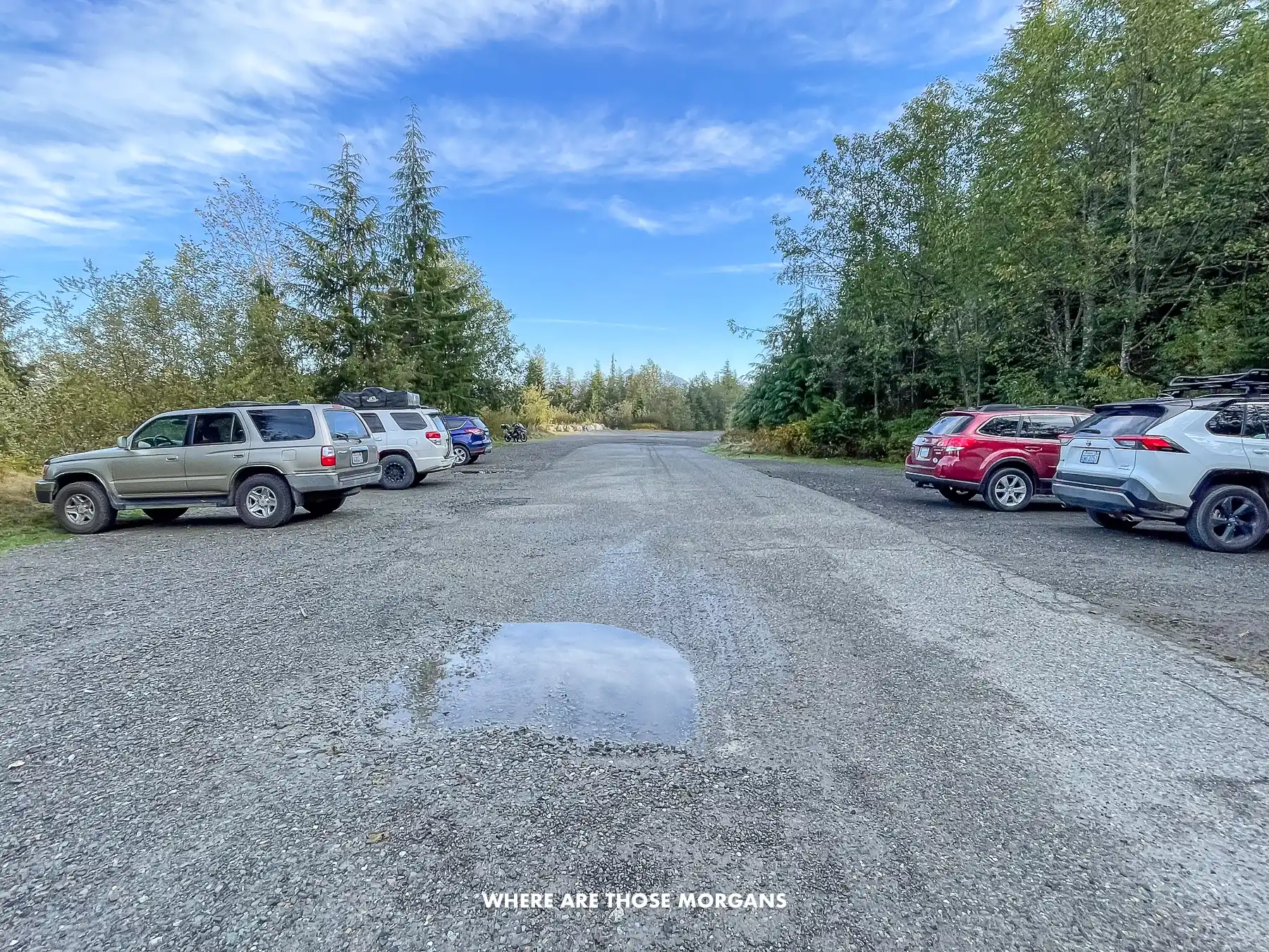 Large gravel parking area between trees with a few cars parked on both sides