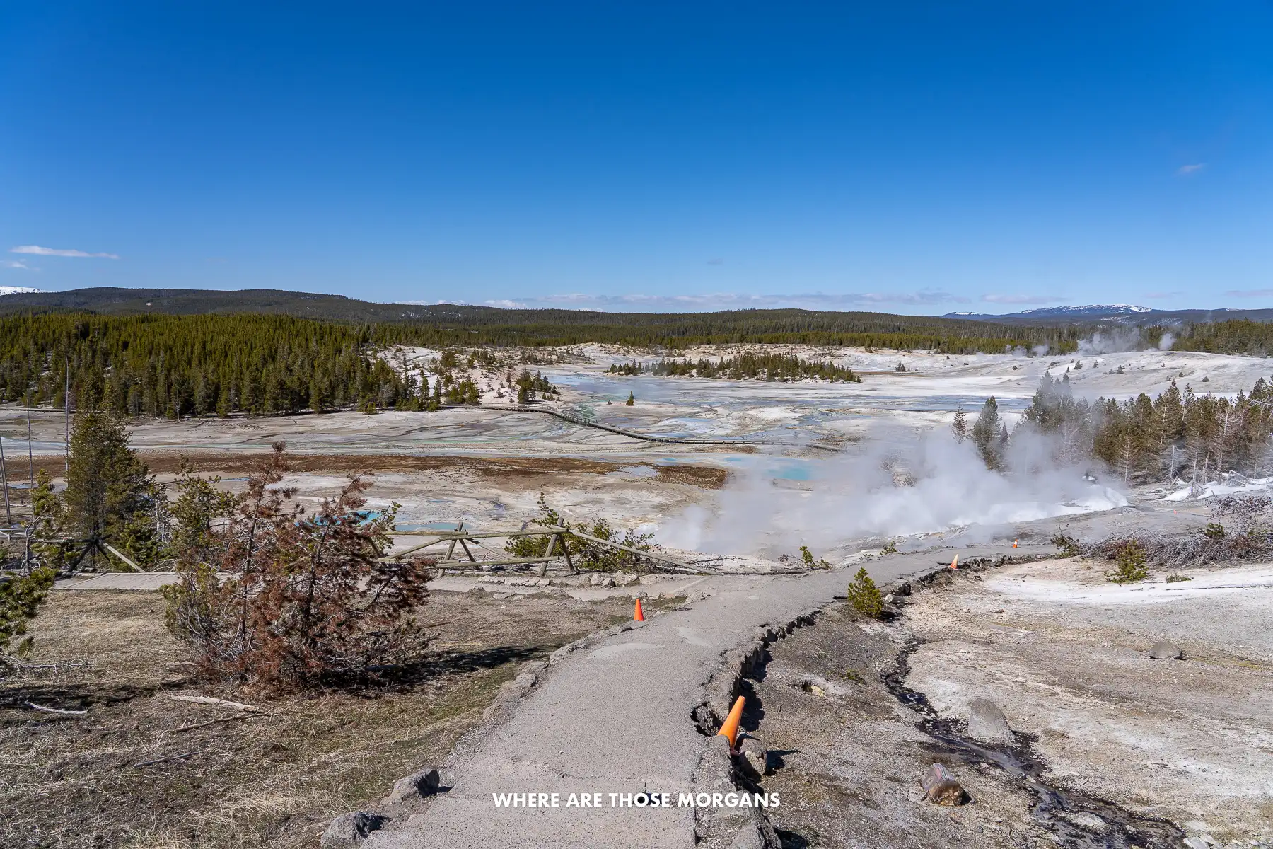 Wooden boardwalk through a geyser basin in Yellowstone National Park under a clear blue sky