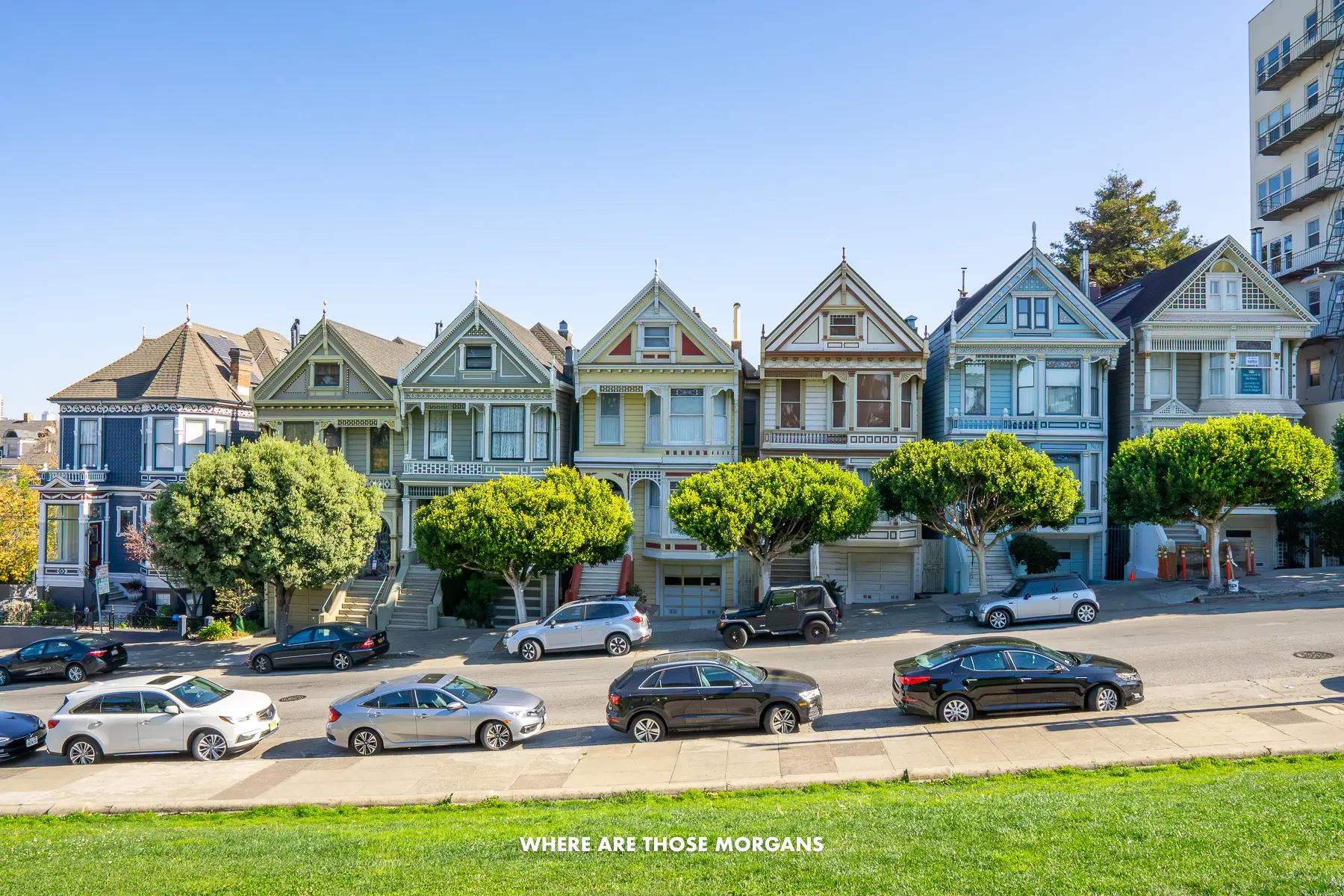 Grass, parked cars and a row of houses painted with vibrant colors called the Painted Ladies in SF