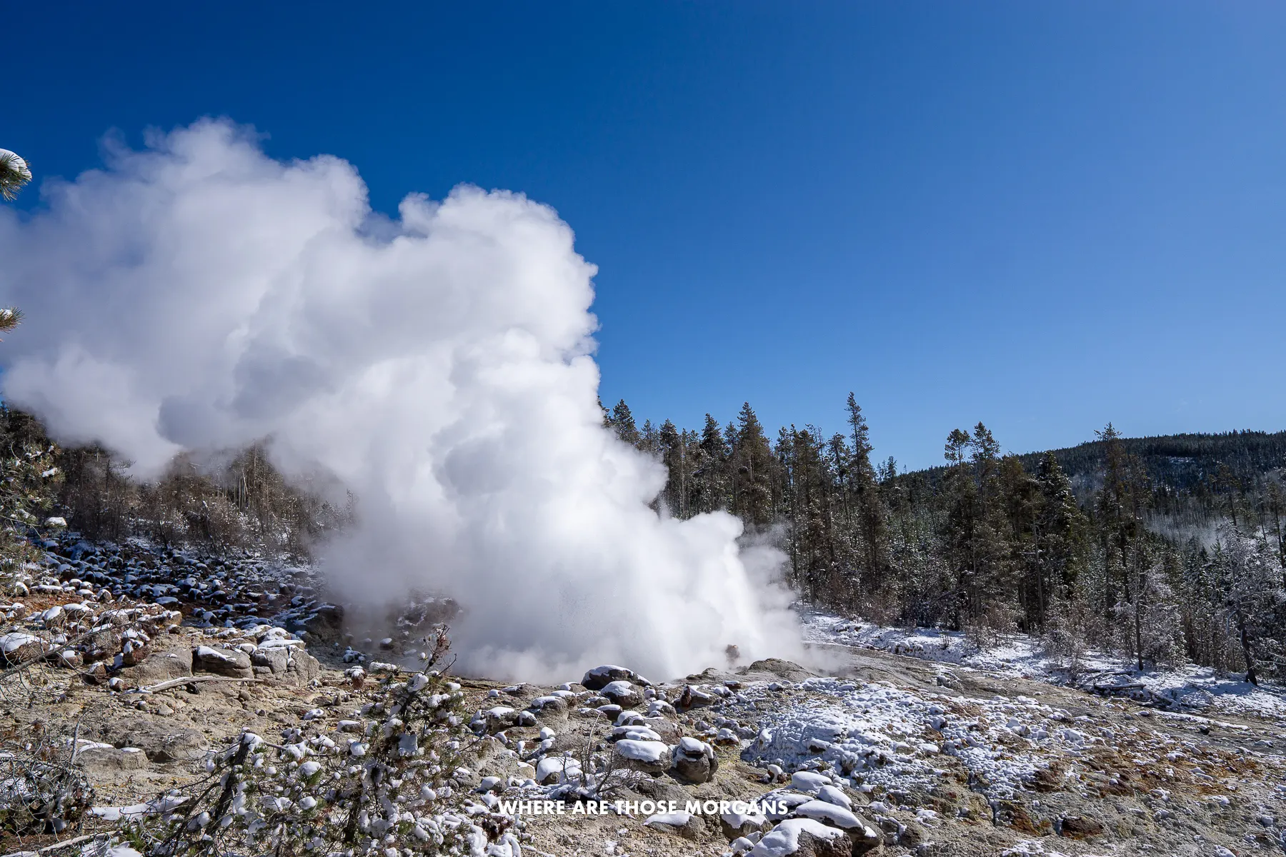 Thick billowing steam venting out of a geyser in a rocky landscape in Wyoming on a clear day with blue sky