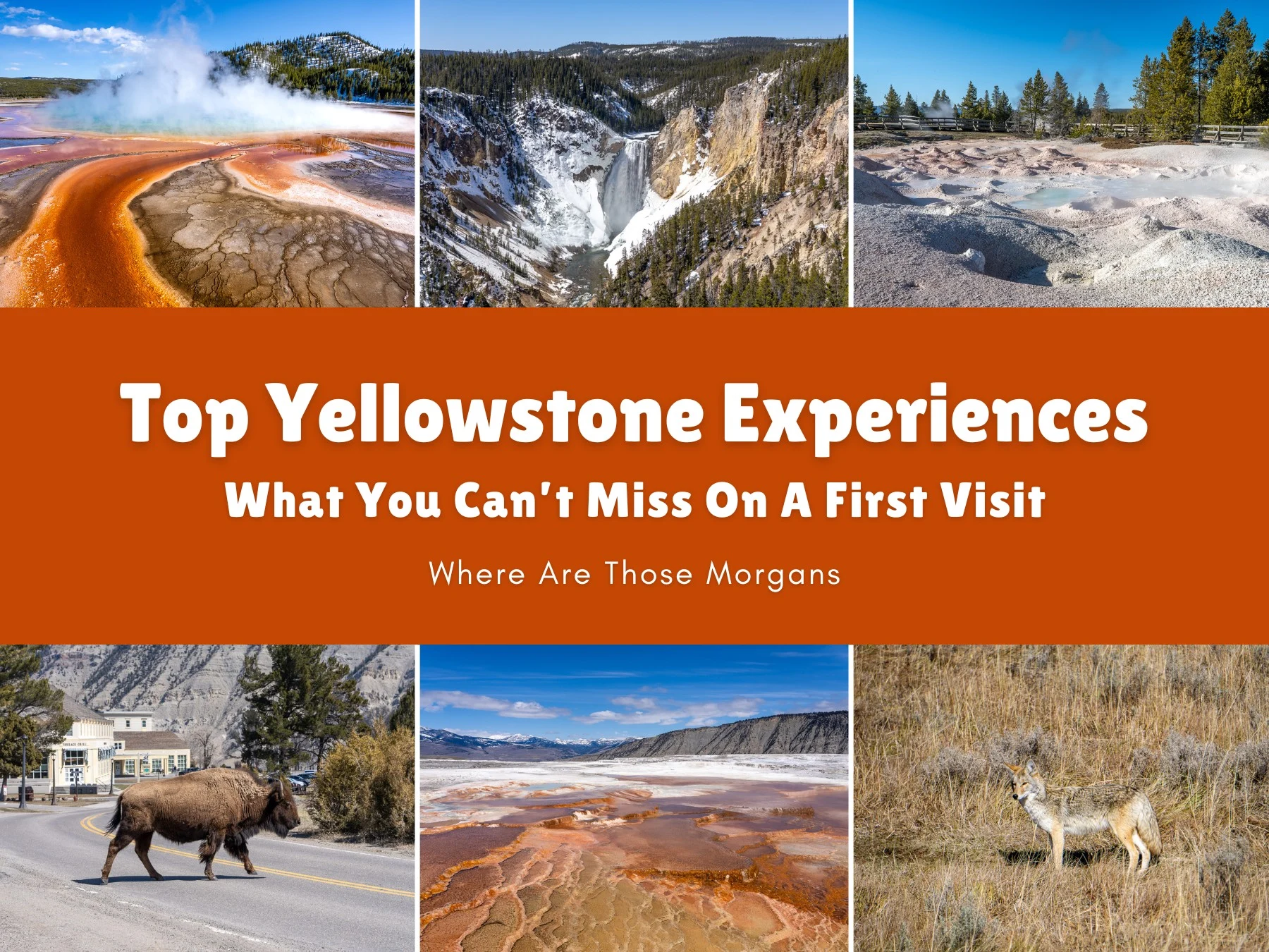 Six small photos taken in various places around Yellowstone National Park with an orange color block and white text reading Top Yellowstone Experiences: What You Can't Miss On A First Visit by Where Are Those Morgans