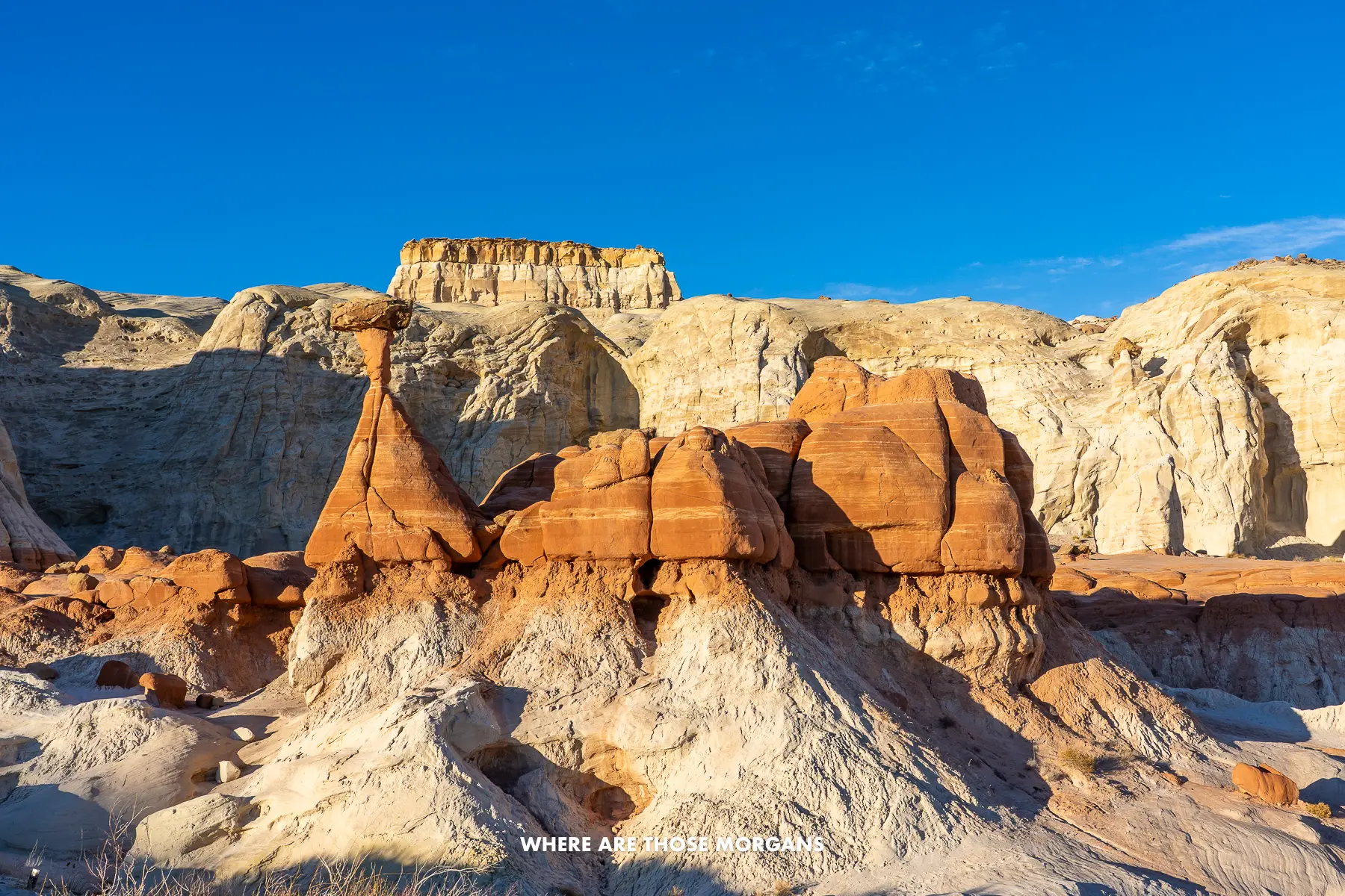 White and orange rock formations with strange mushroom-shaped tops backed by tall white cliffs under a clear blue sky at Toadstool Hoodoos in Utah