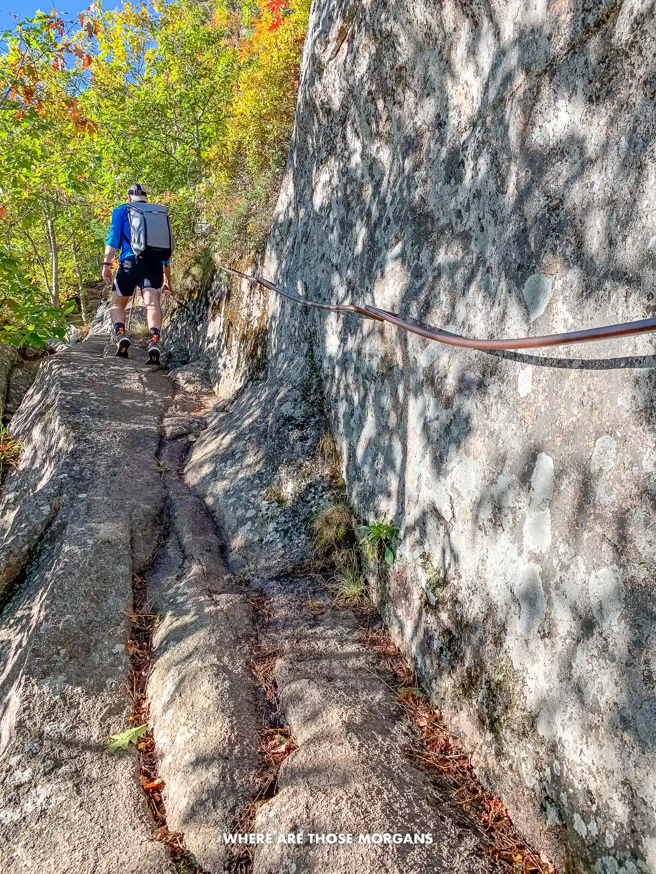 Mark from Where Are Those Morgans climbing narrow sections of the Precipice Trail in Acadia