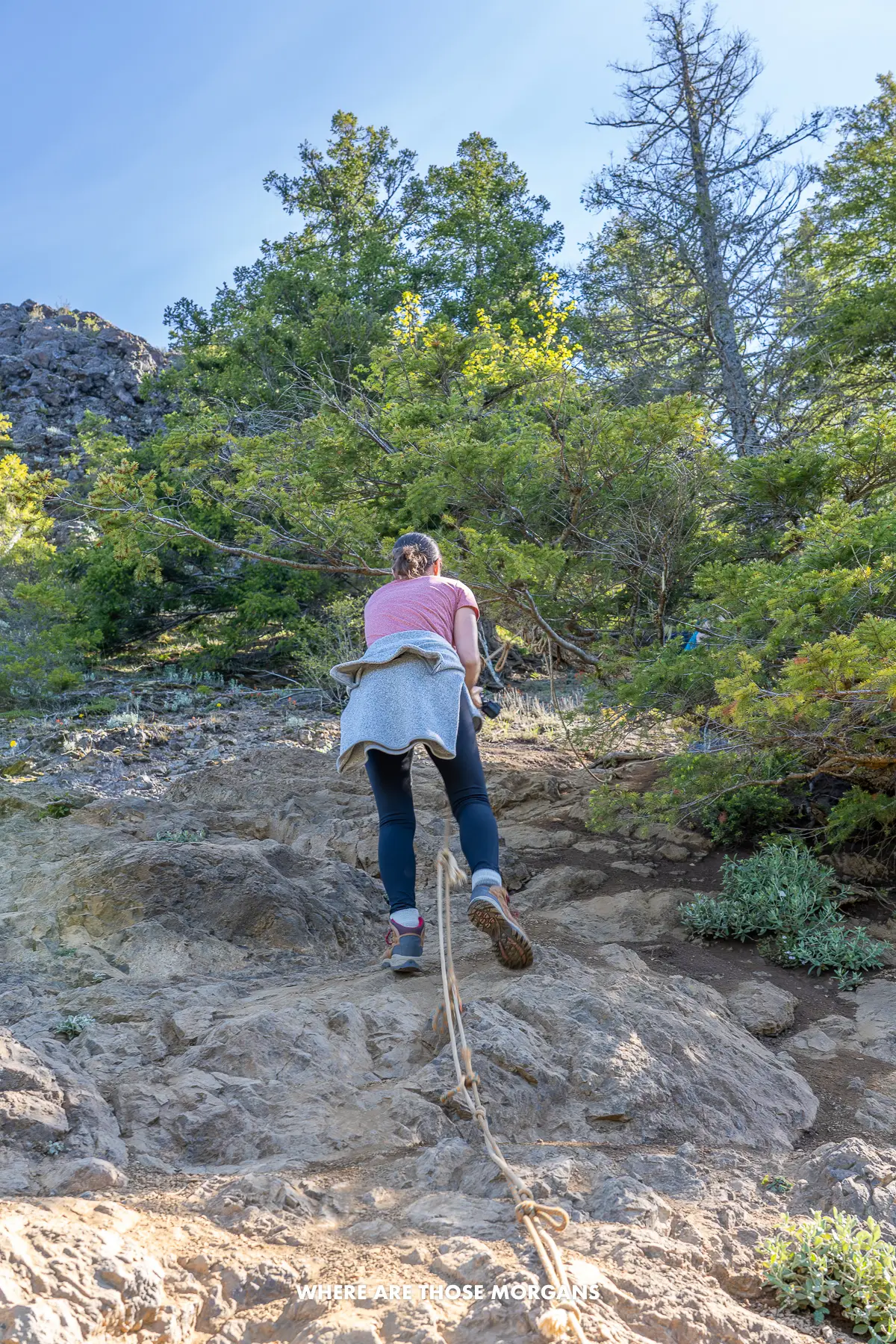 Kristen from Where Are Those Morgans climbing a rope on a steep rock face towards trees