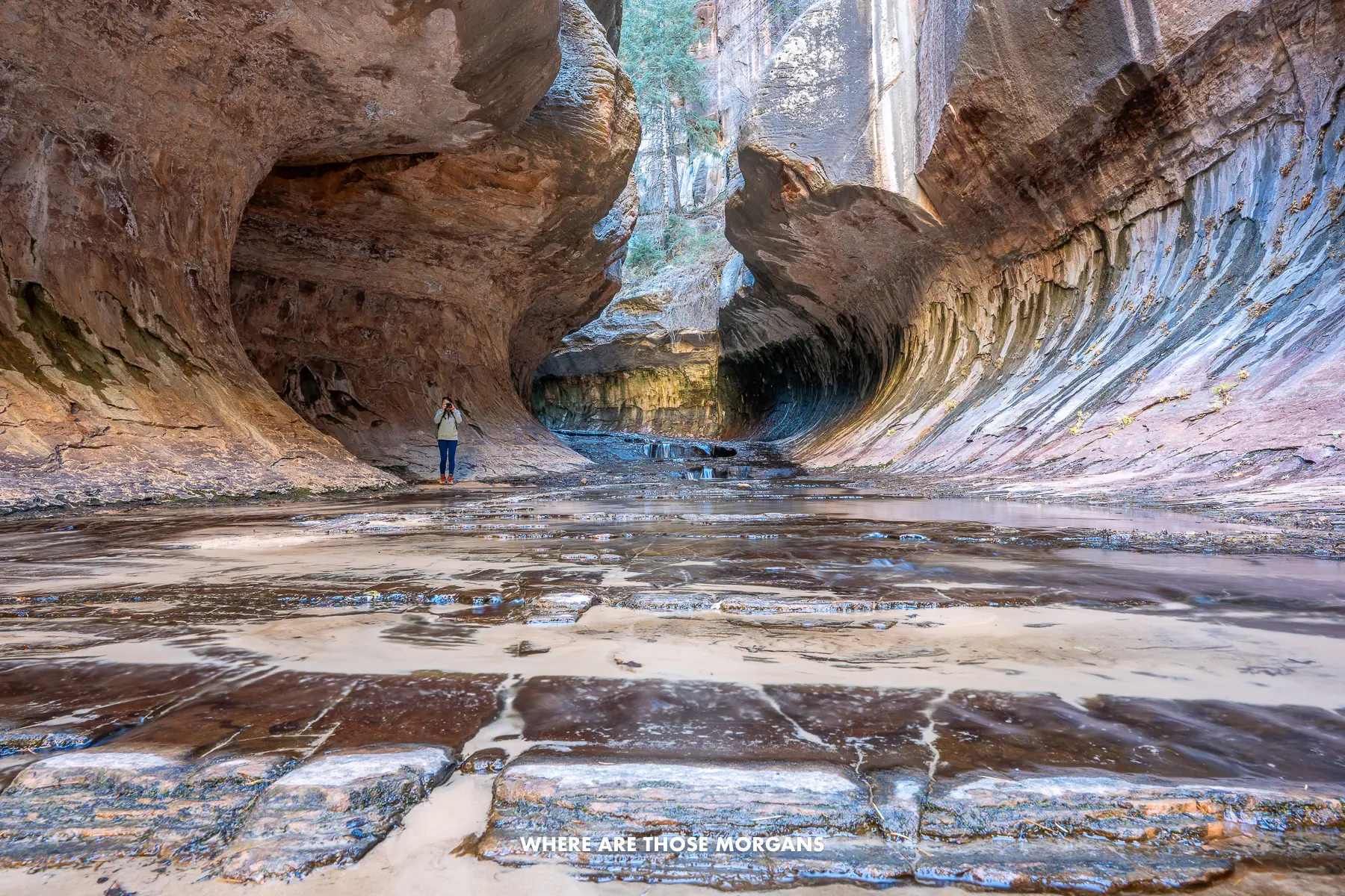 Kristen from Where Are Those Morgans alone at the entrance to The Subway formation in Zion