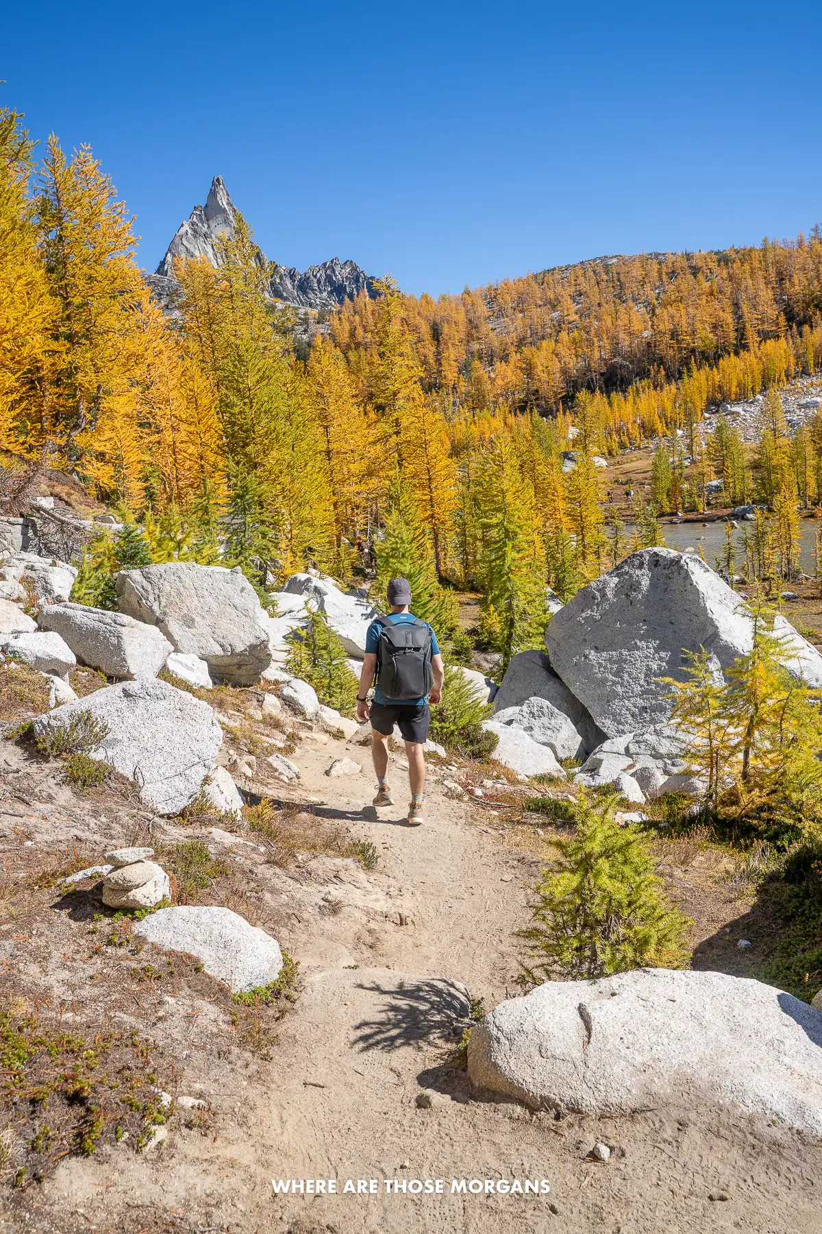 Mark from Where Are Those Morgans hiking through golden larches on the Enchantments Trail in Washington