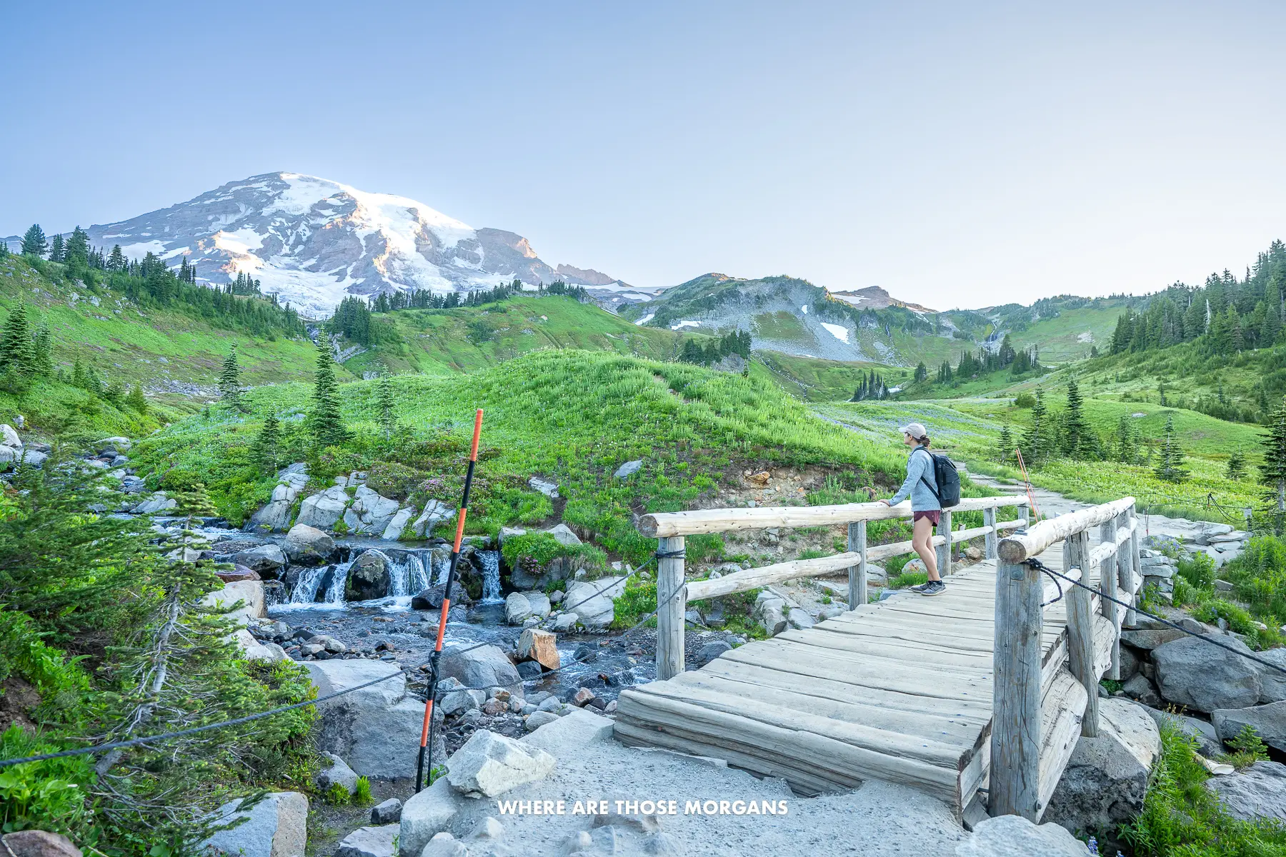 Kristen from Where Are Those Morgans hiking over a wooden bridge to a meadow with flowers and Mt Rainier in the distance