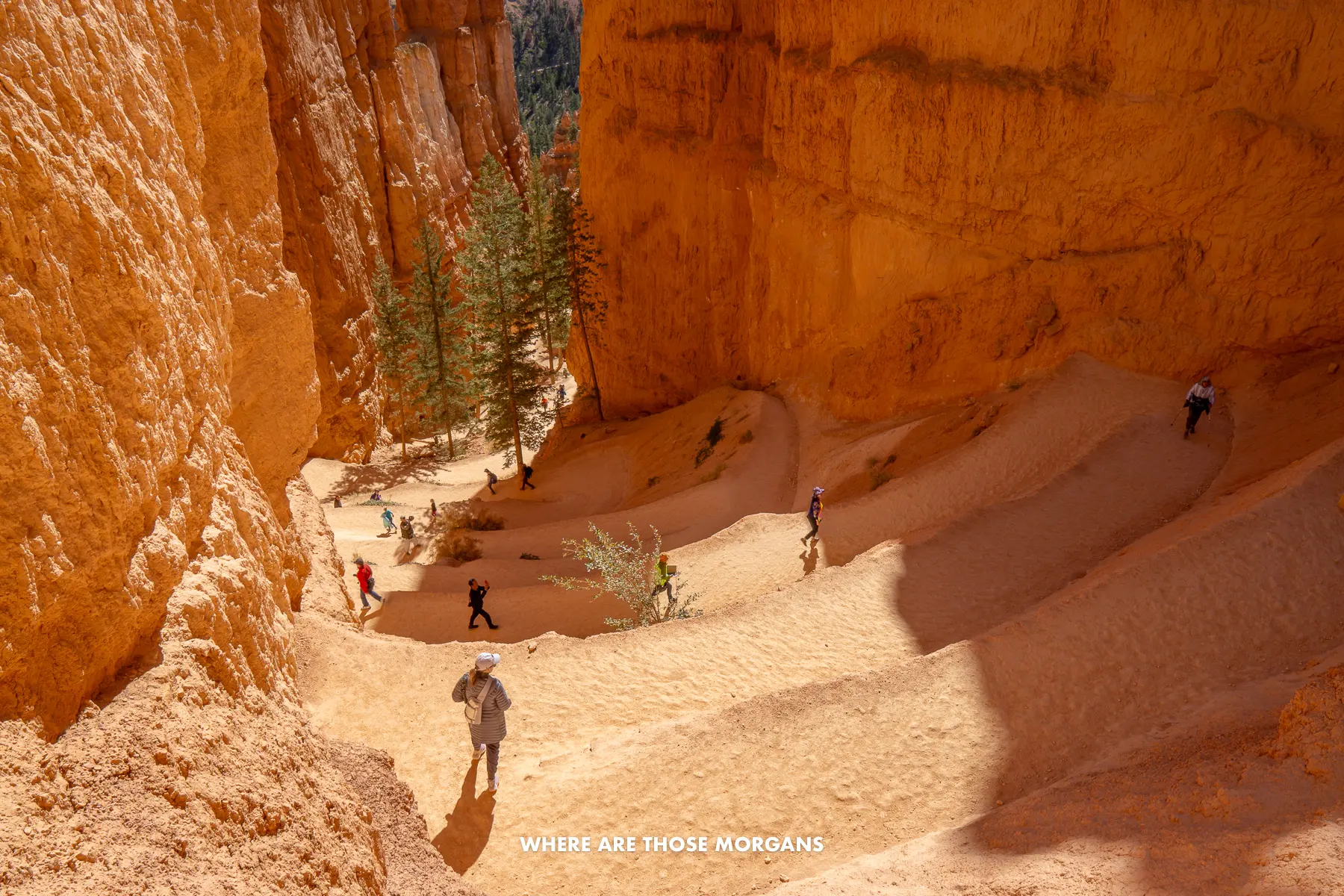 Sandstone switchbacks with a few hikers going up and down on Navajo Loop in Bryce Canyon