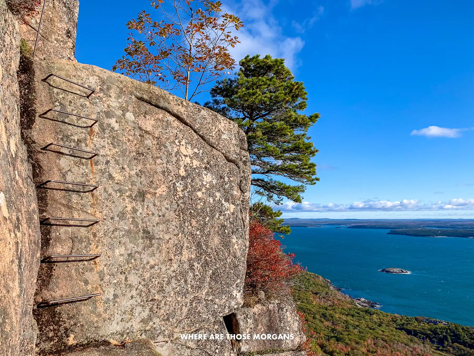 Metal ladder built into granite rocks on a hike in Acadia with ocean views to the side