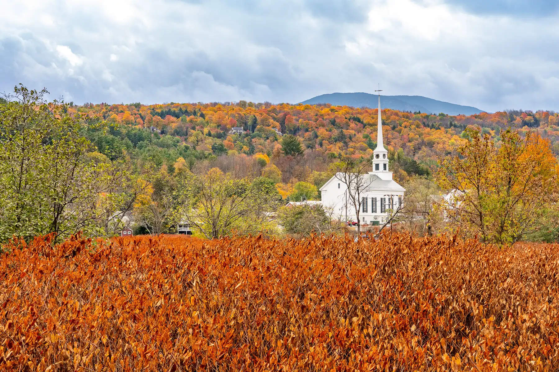 Photo of Stowe's white church nestled among colorful leaves behind orange colored reeds and a cloudy sky above