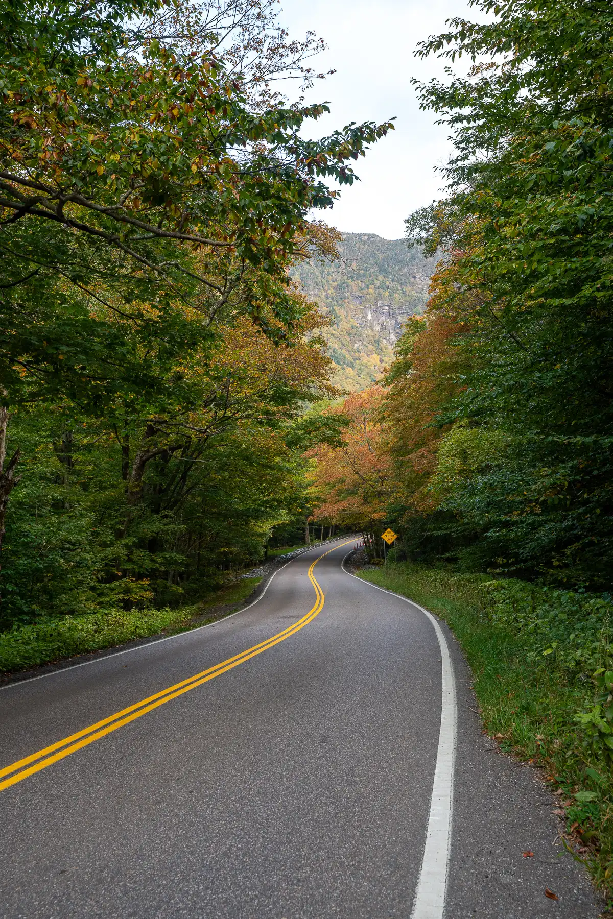 Photo of an empty two lane road curving through trees at dusk in Vermont