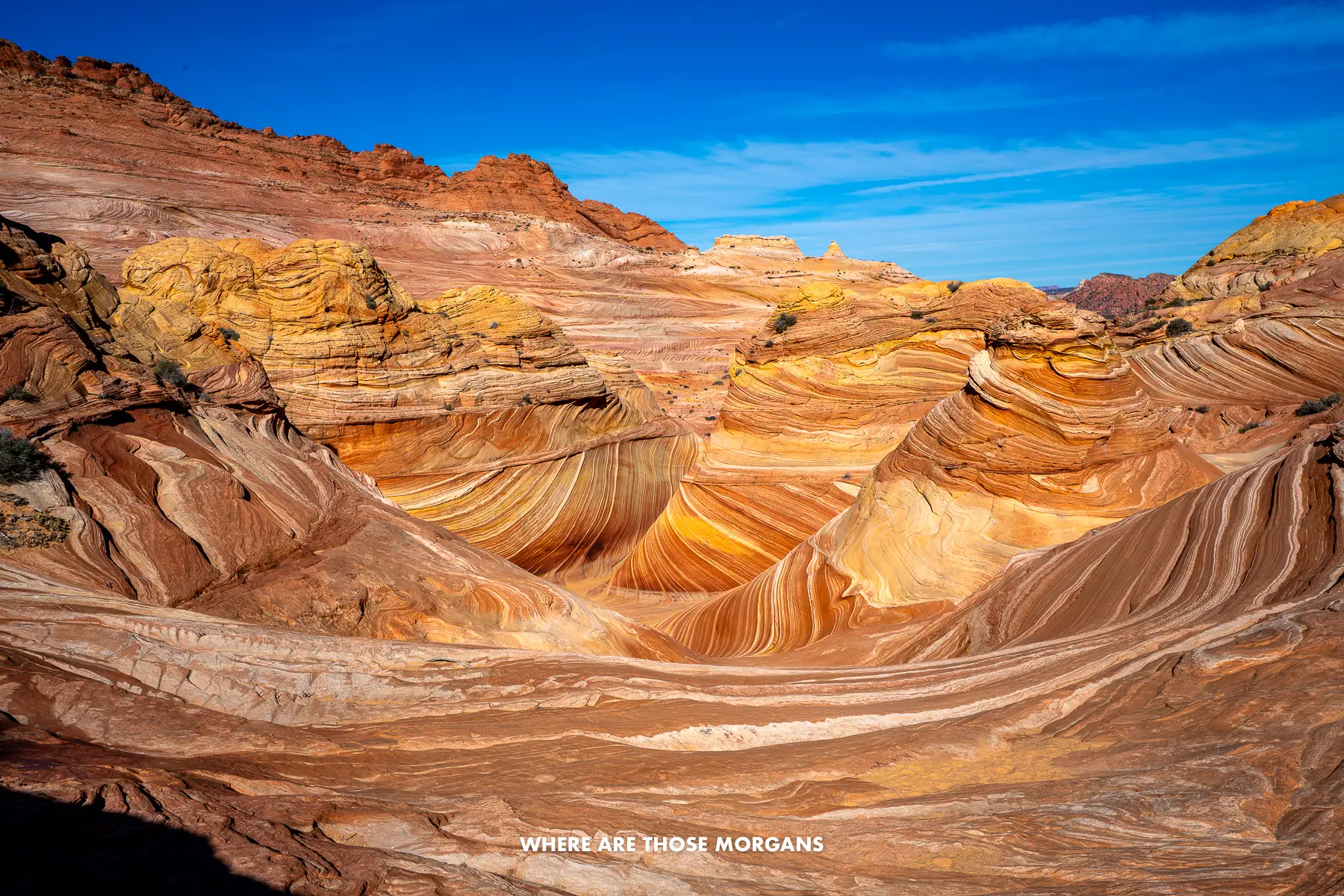 Wide angle photo of The Wave with nobody inside, no shadows and a clear blue sky above