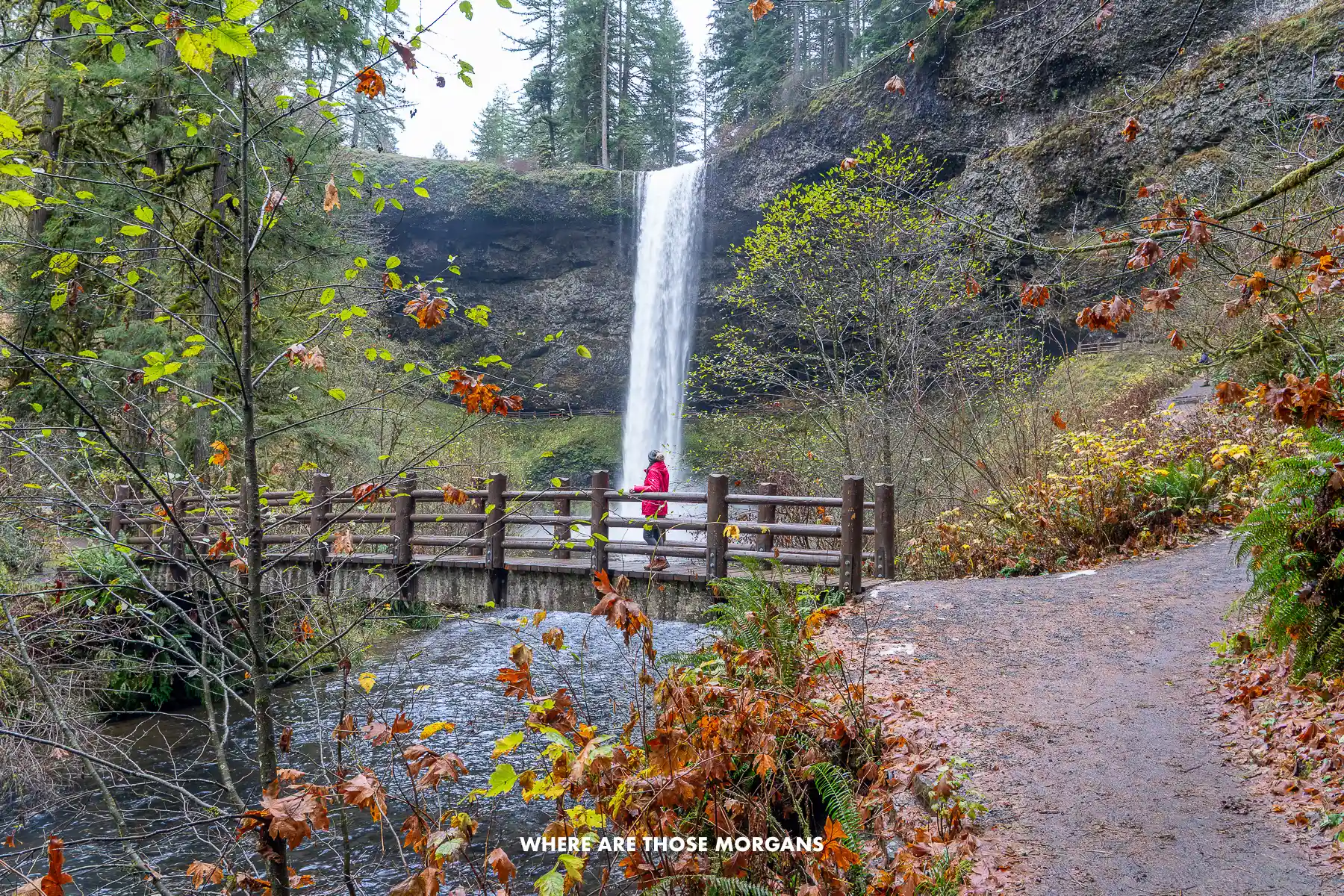 Kristen from Where Are Those Morgans standing on a bridge with a waterfall behind in Silver Falls Oregon