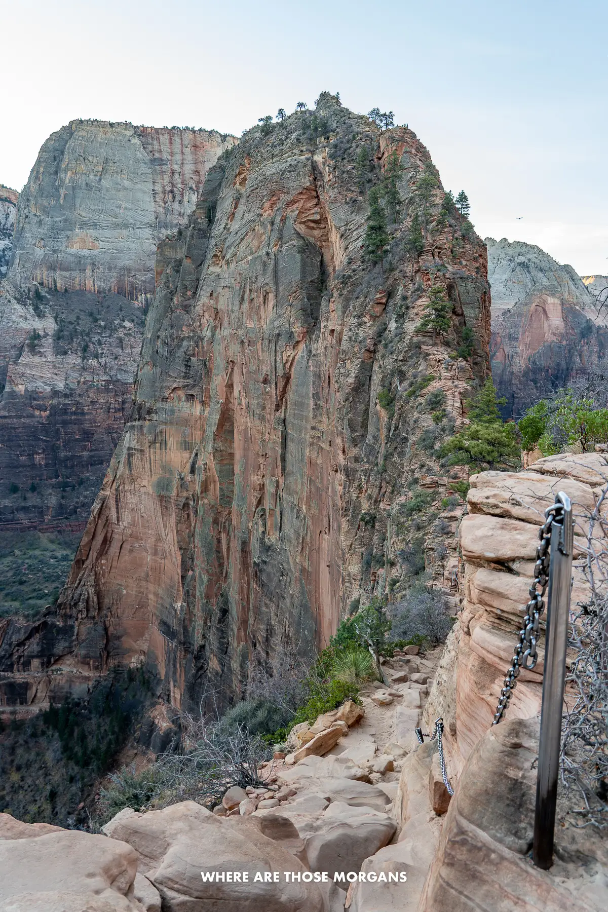 The long and narrow climb up to Angels Landing with nobody on the trail at dawn