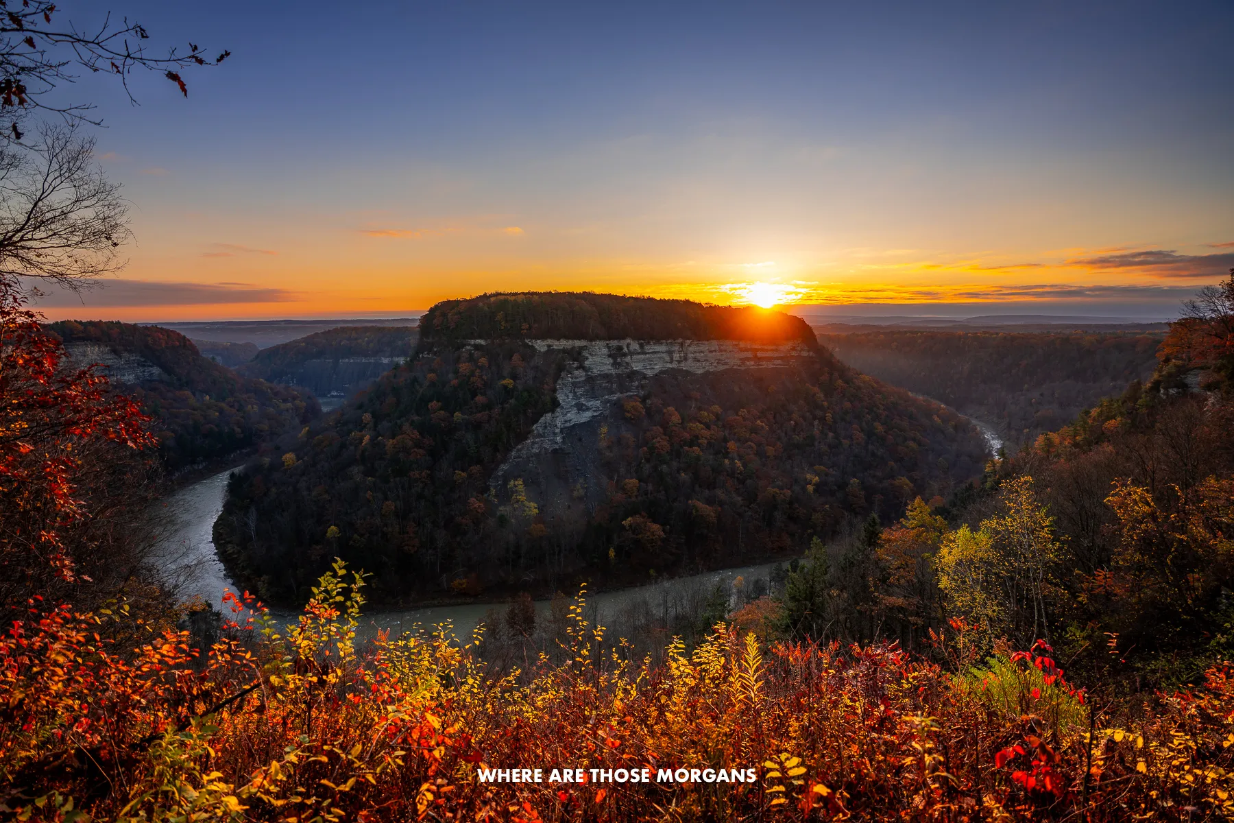 Colorful leaves on a hillside leading to a deep U-shaped river curving around another hill in the middle at sunrise in Letchworth State Park