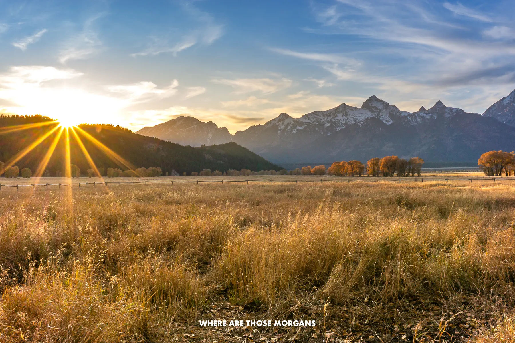 Sunburst over a wide open field with sagebrush in the foreground and mountains in the distance