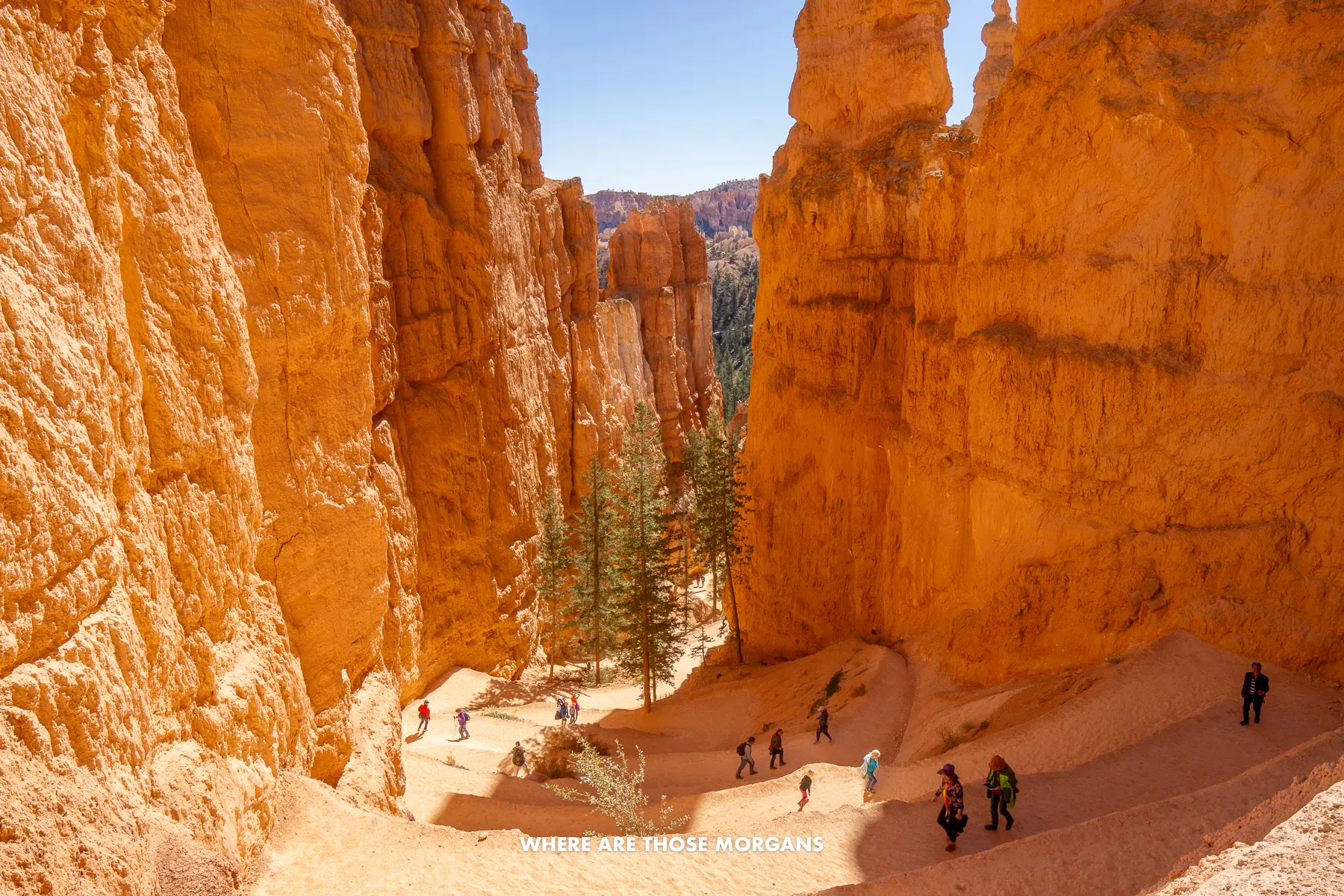 Looking down at sandstone switchbacks leading into Bryce Canyon's amphitheater
