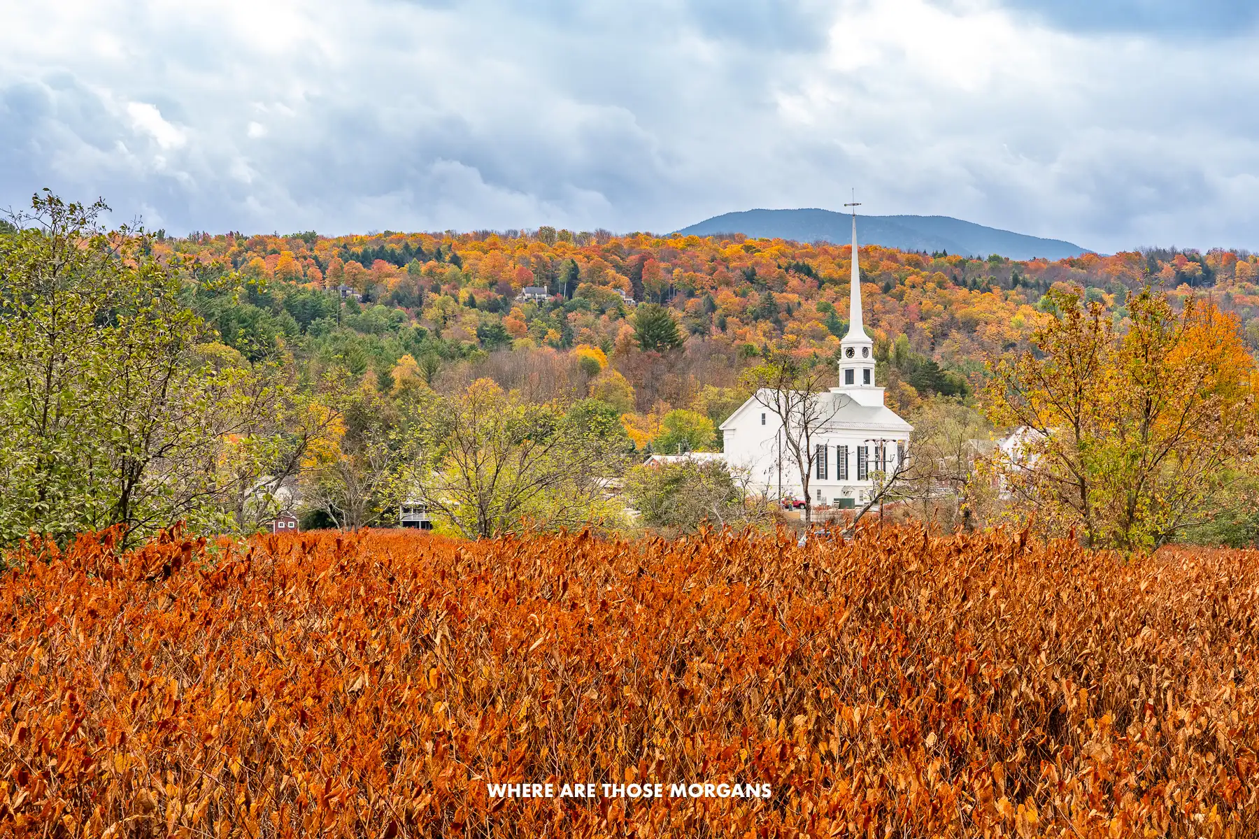 Stowe community church behind copper-colored vegetation and backed a hill covered in trees with fall foliage leaves under a moody cloudy sky