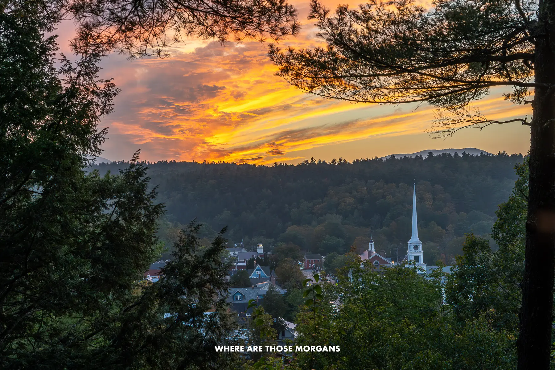 Looking down through trees to Stowe town at sunset from an elevated vantage point