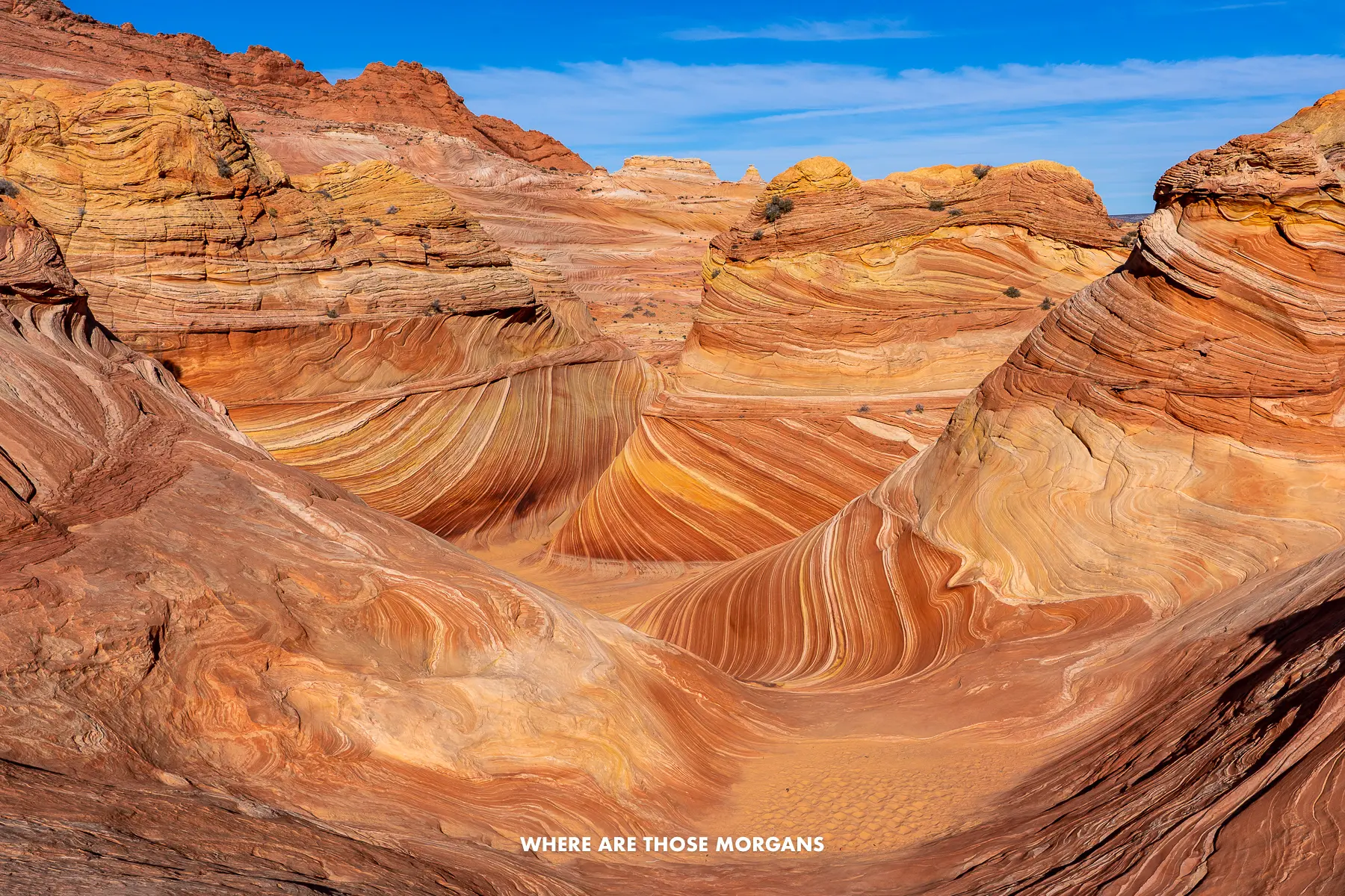 Photo of The Wave in Arizona with no shadows under a blue sky