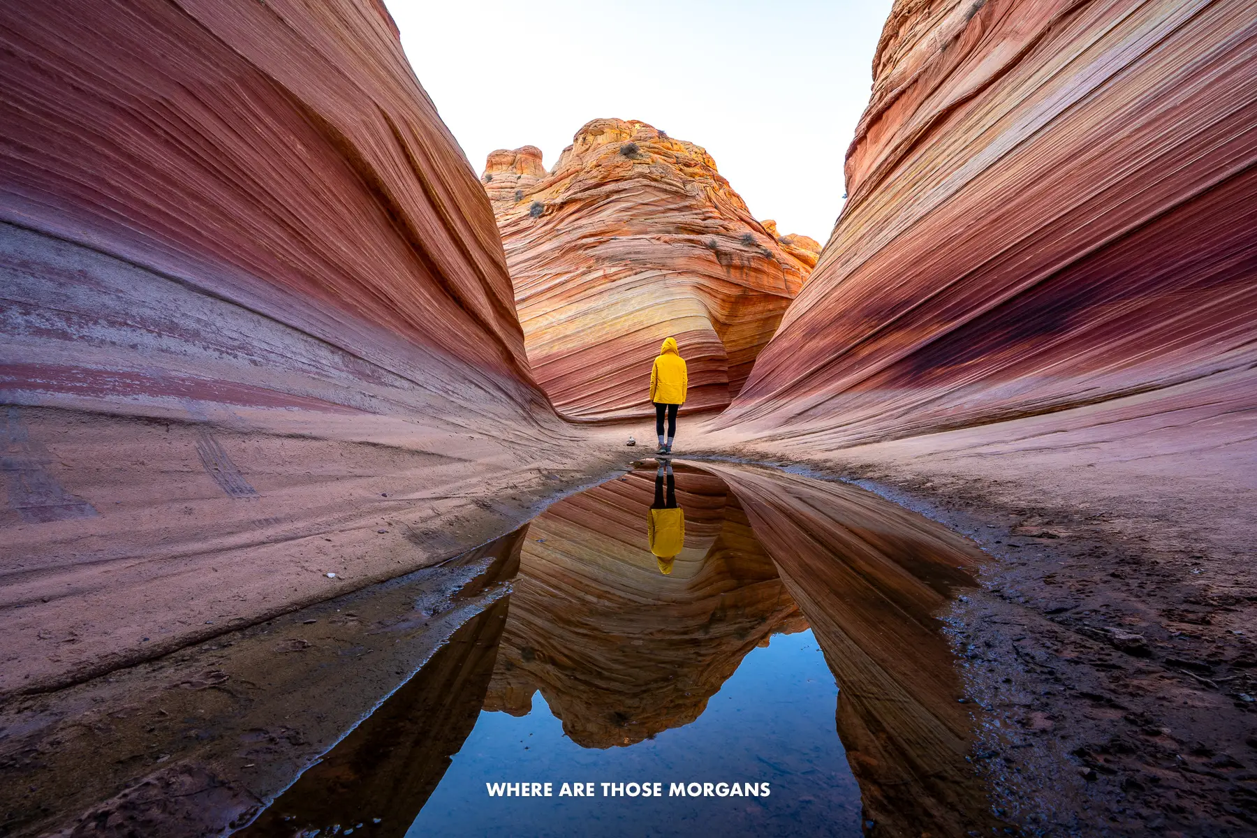 Kristen from Where Are Those Morgans wearing a yellow jacket with back turned reflecting in a shallow pool of water inside The Wave in Arizona