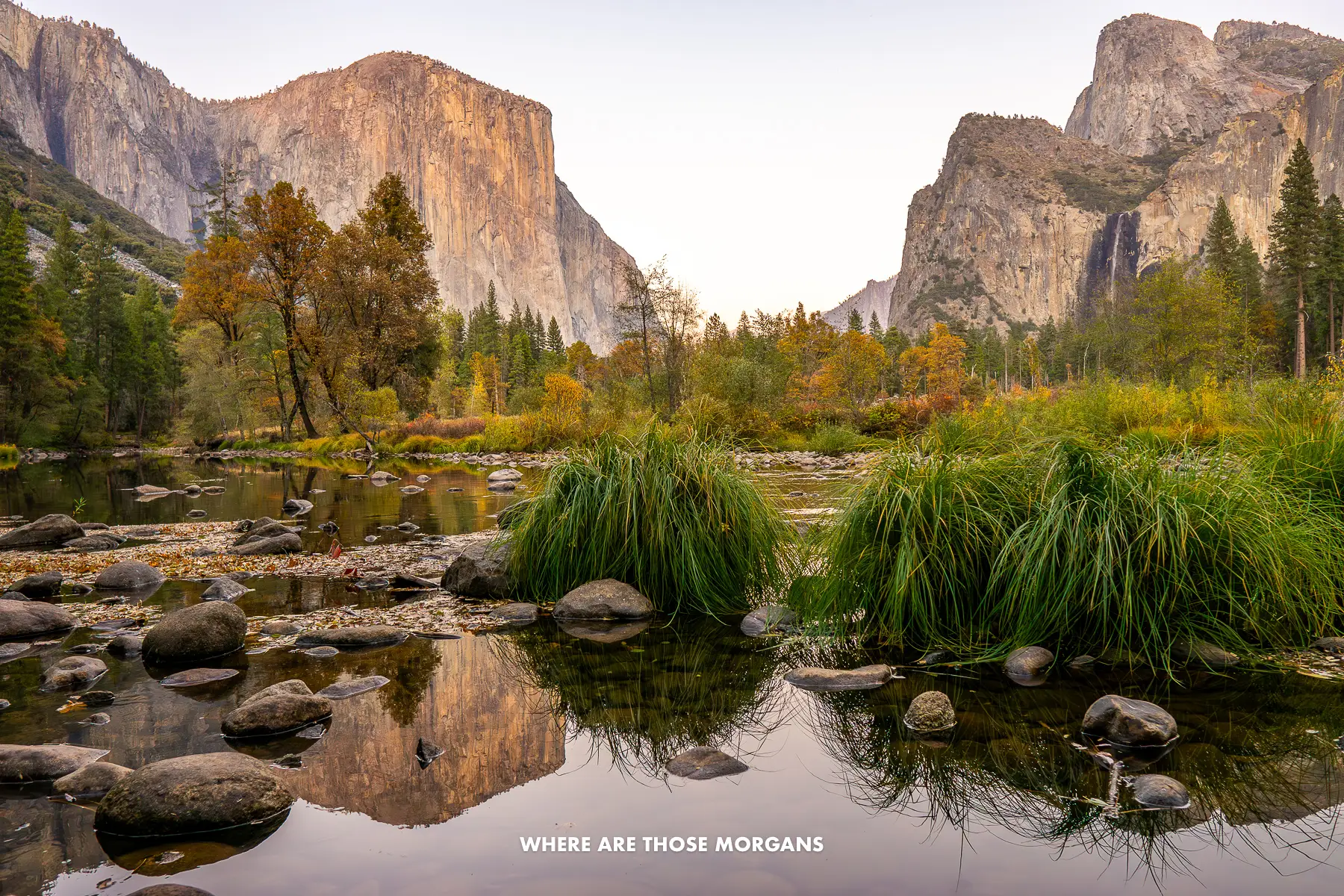 Looking over a still river through vegetation towards towering granite cliffs in Yosemite National Park