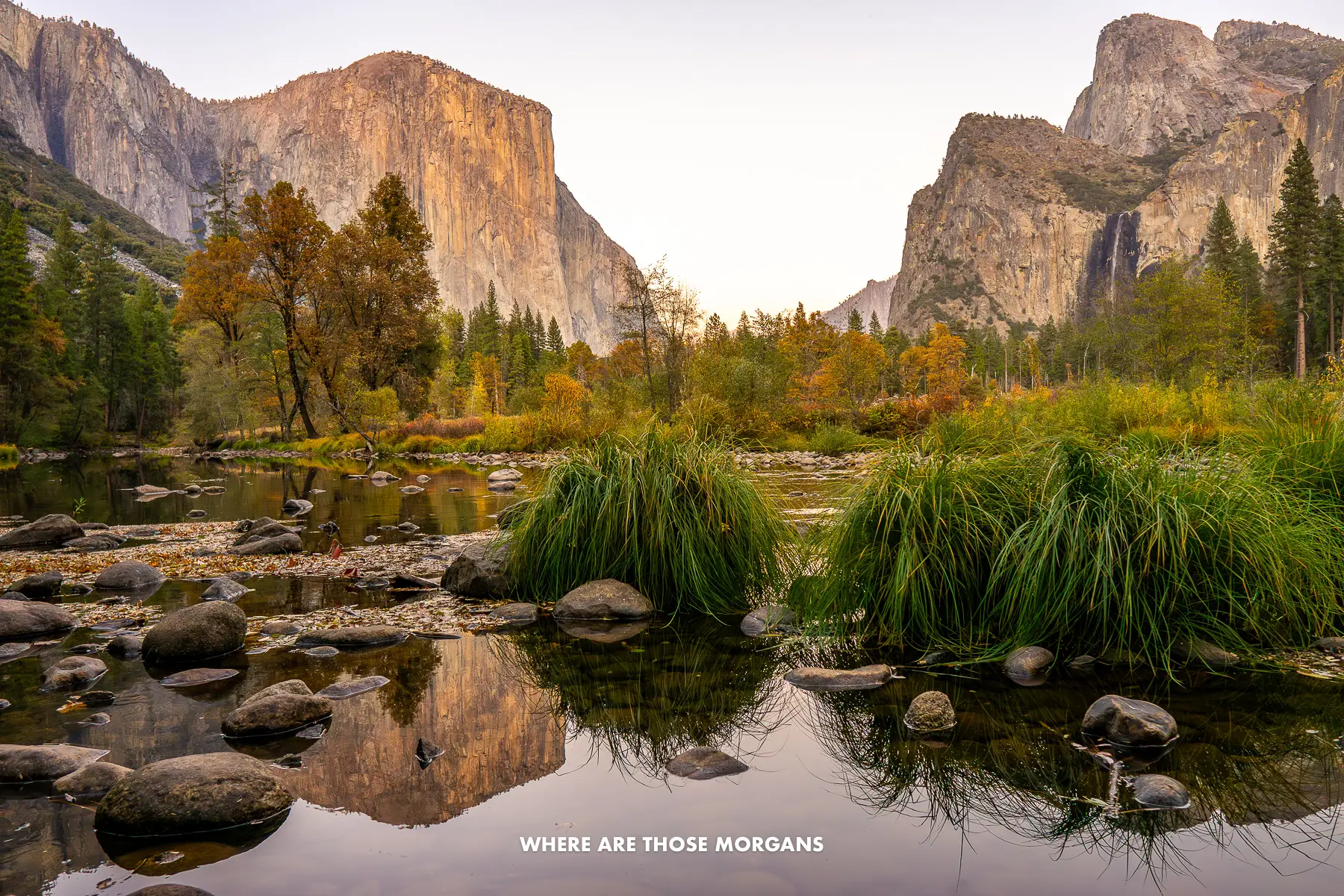 Looking through Yosemite Valley at sunrise with a still river and vegetation in the foreground and granite cliffs in the background
